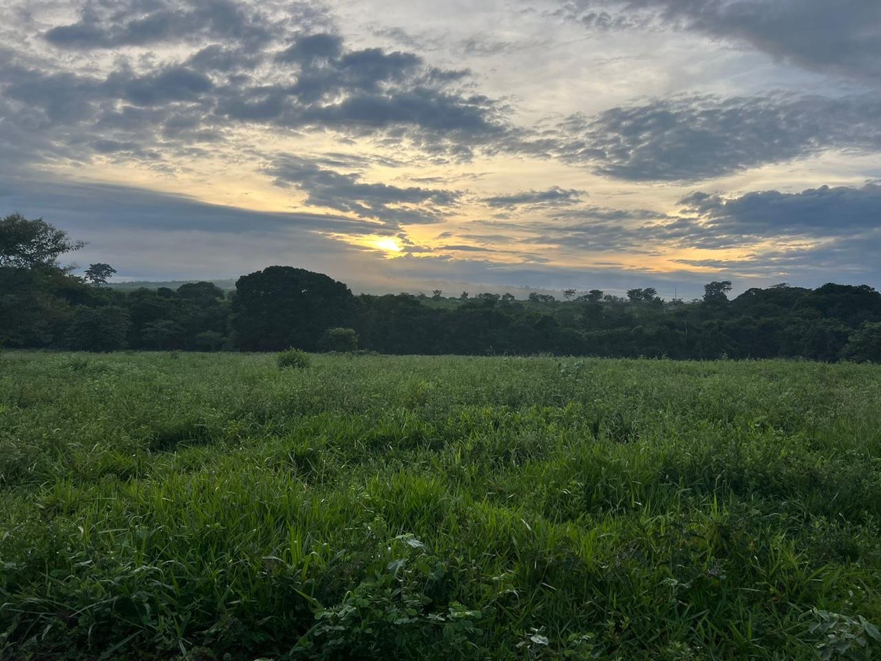  Fazenda  Oportunidade Única no Centro-Oeste!