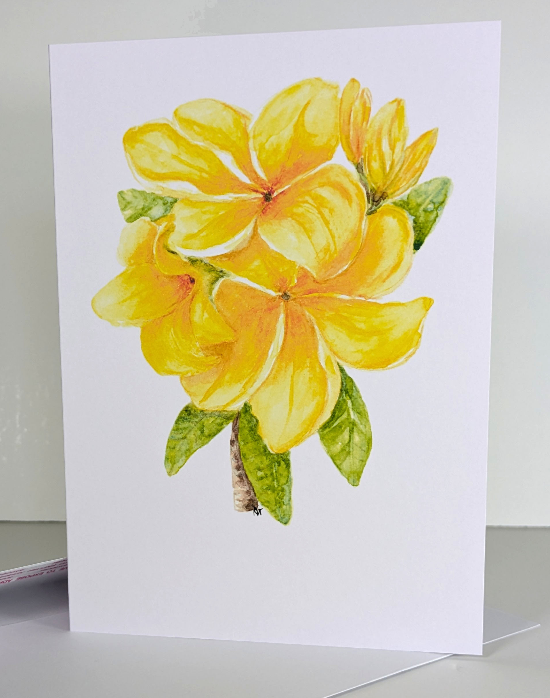 Plumeria flower in watercolor greeting card