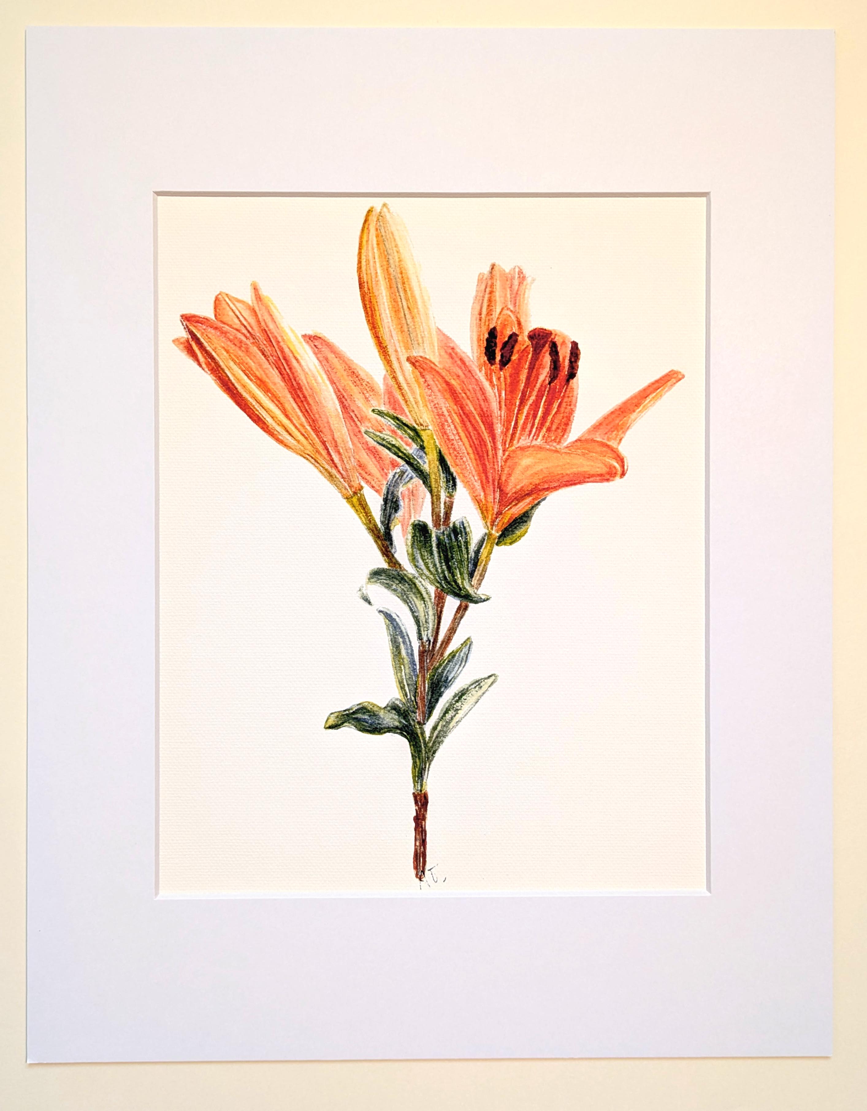 Day Lilies in watercolor