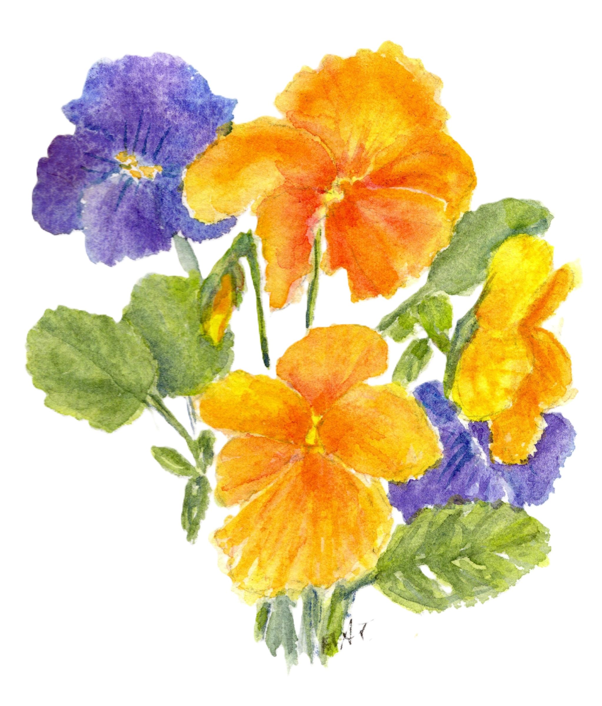 Fall Flowers collections