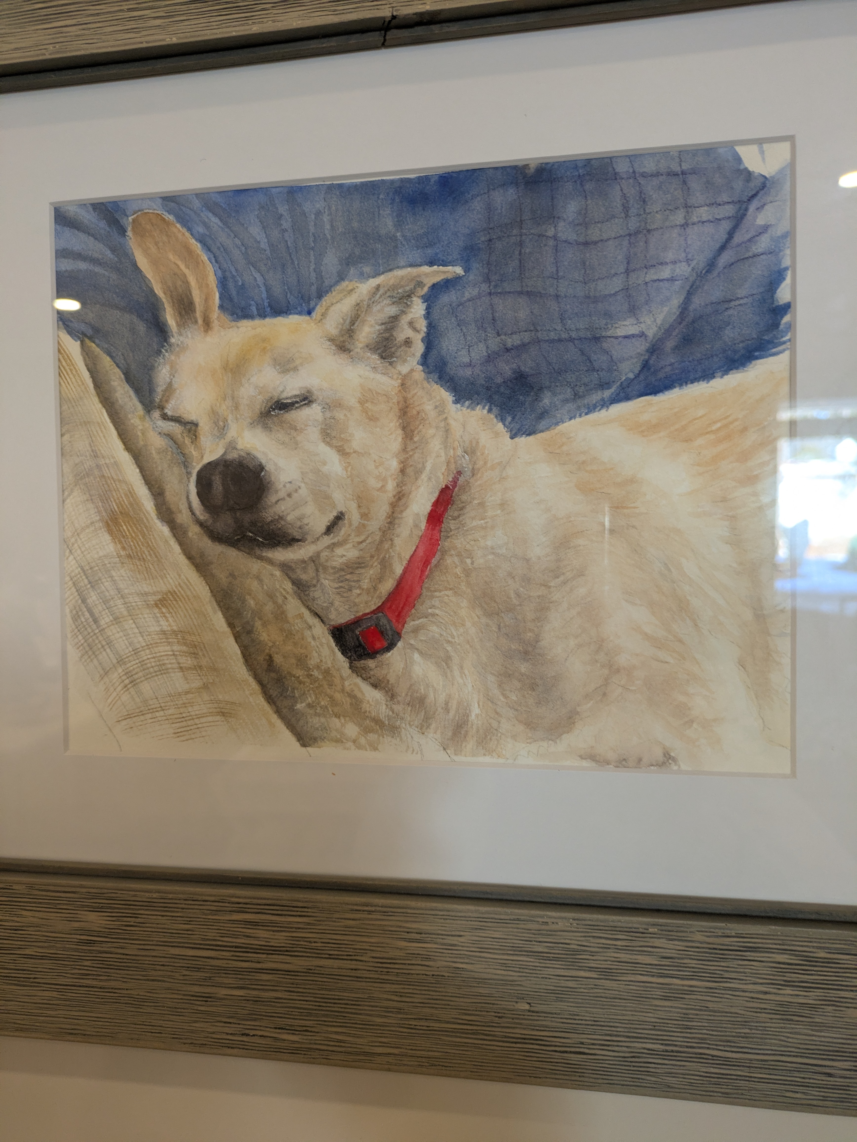 Pet Portrait Commission size