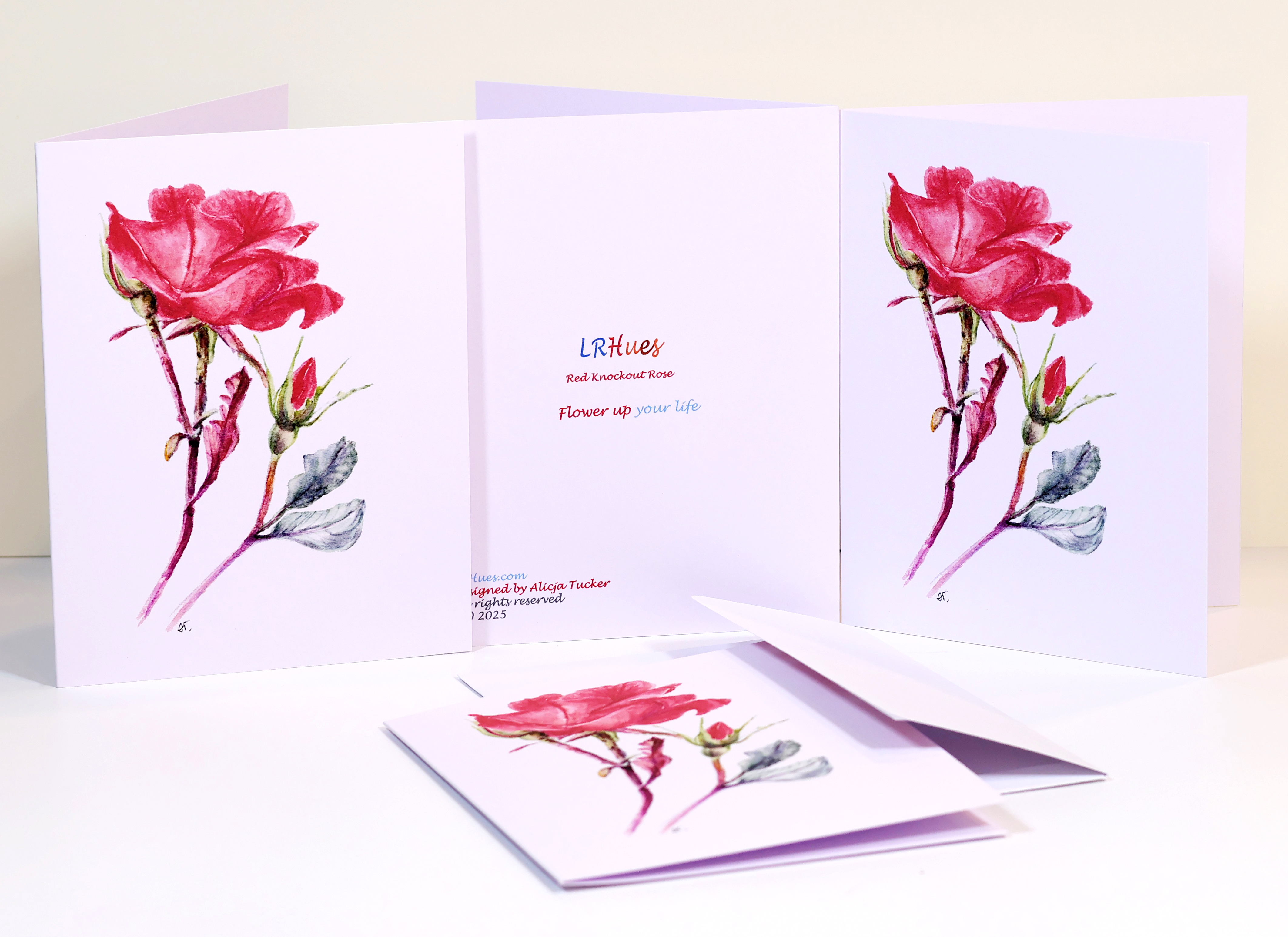 Watercolor Red Knockout Rose