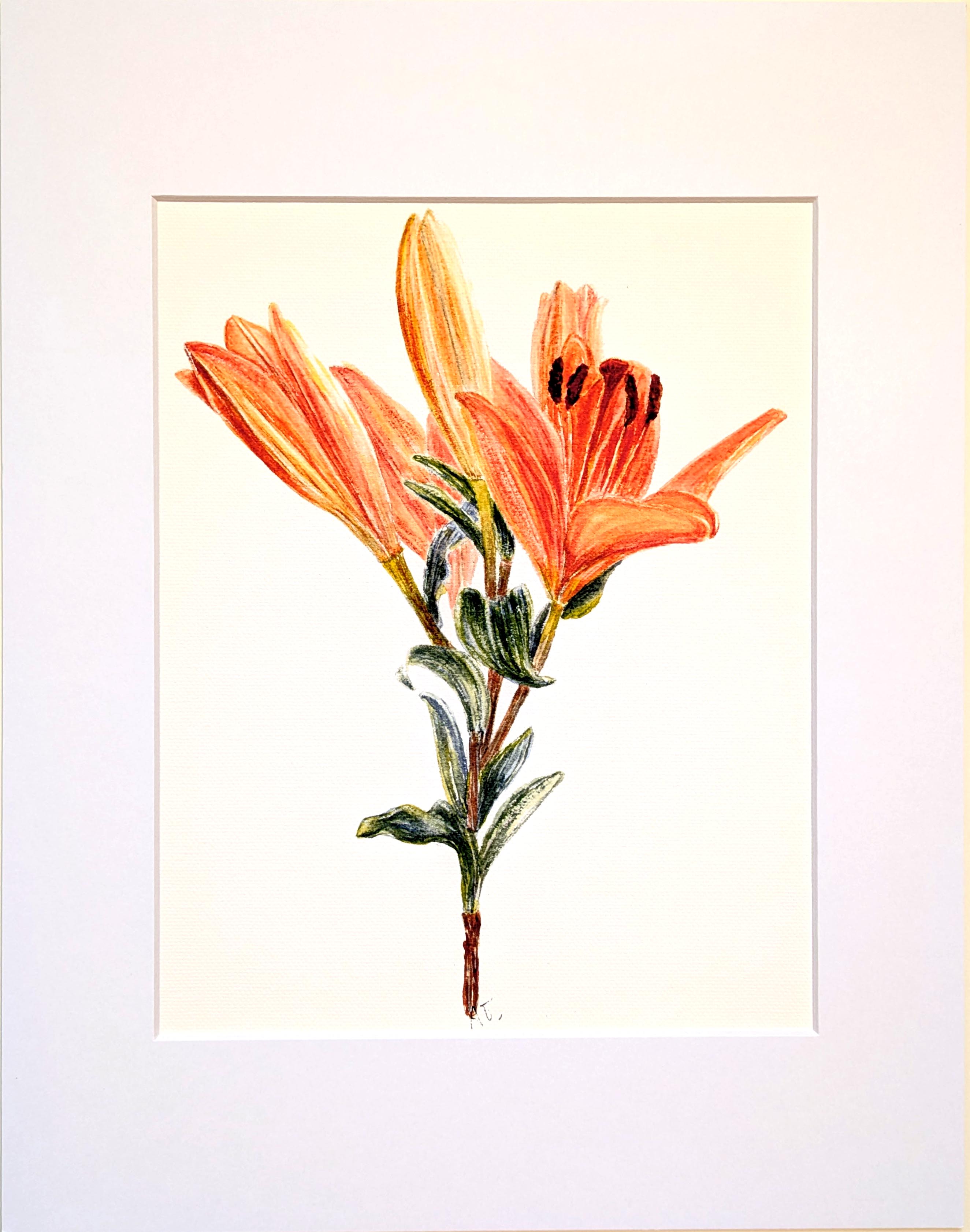 Day Lilies in watercolor
