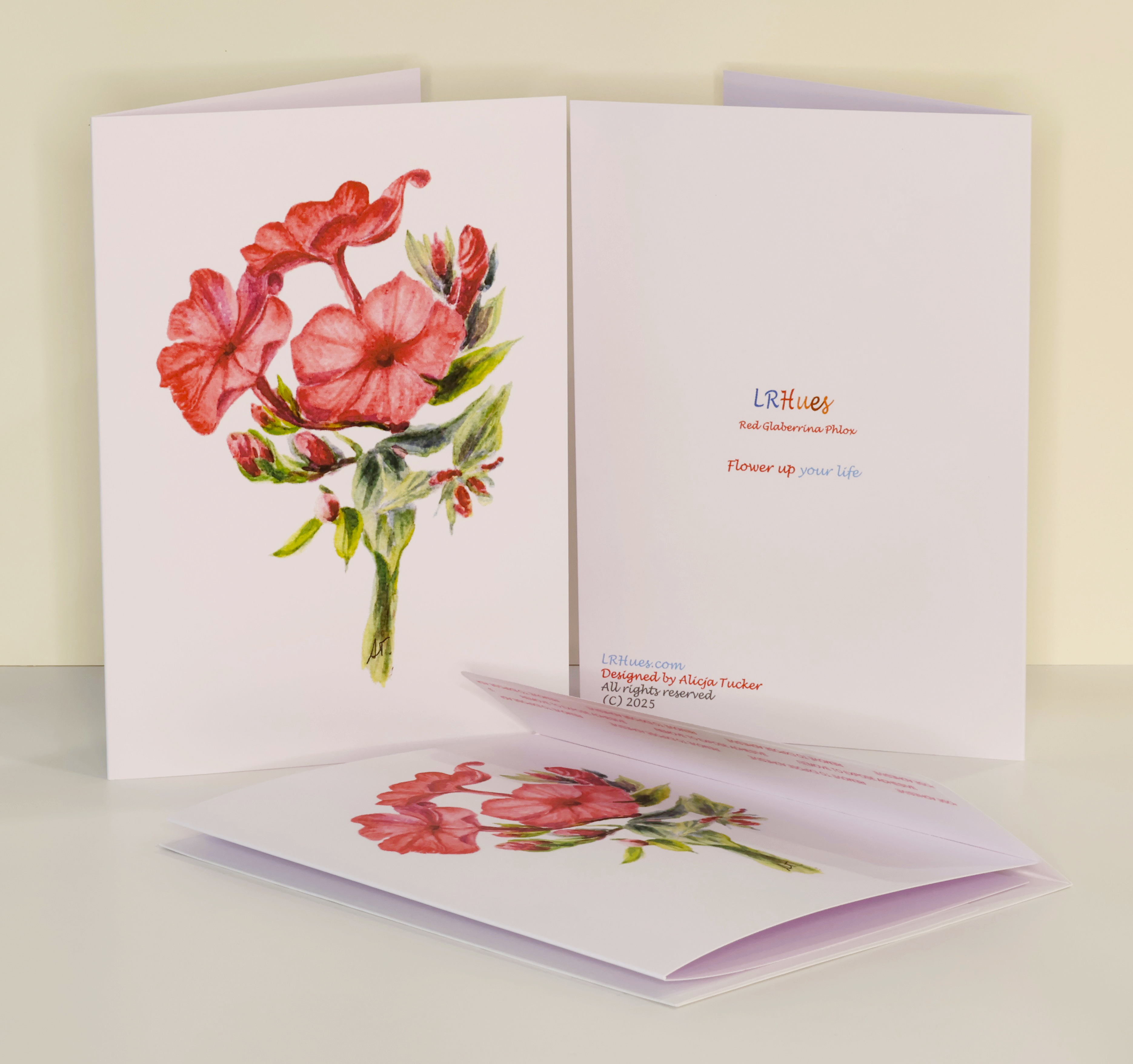 Watercolor Red Glaberrima Phlox