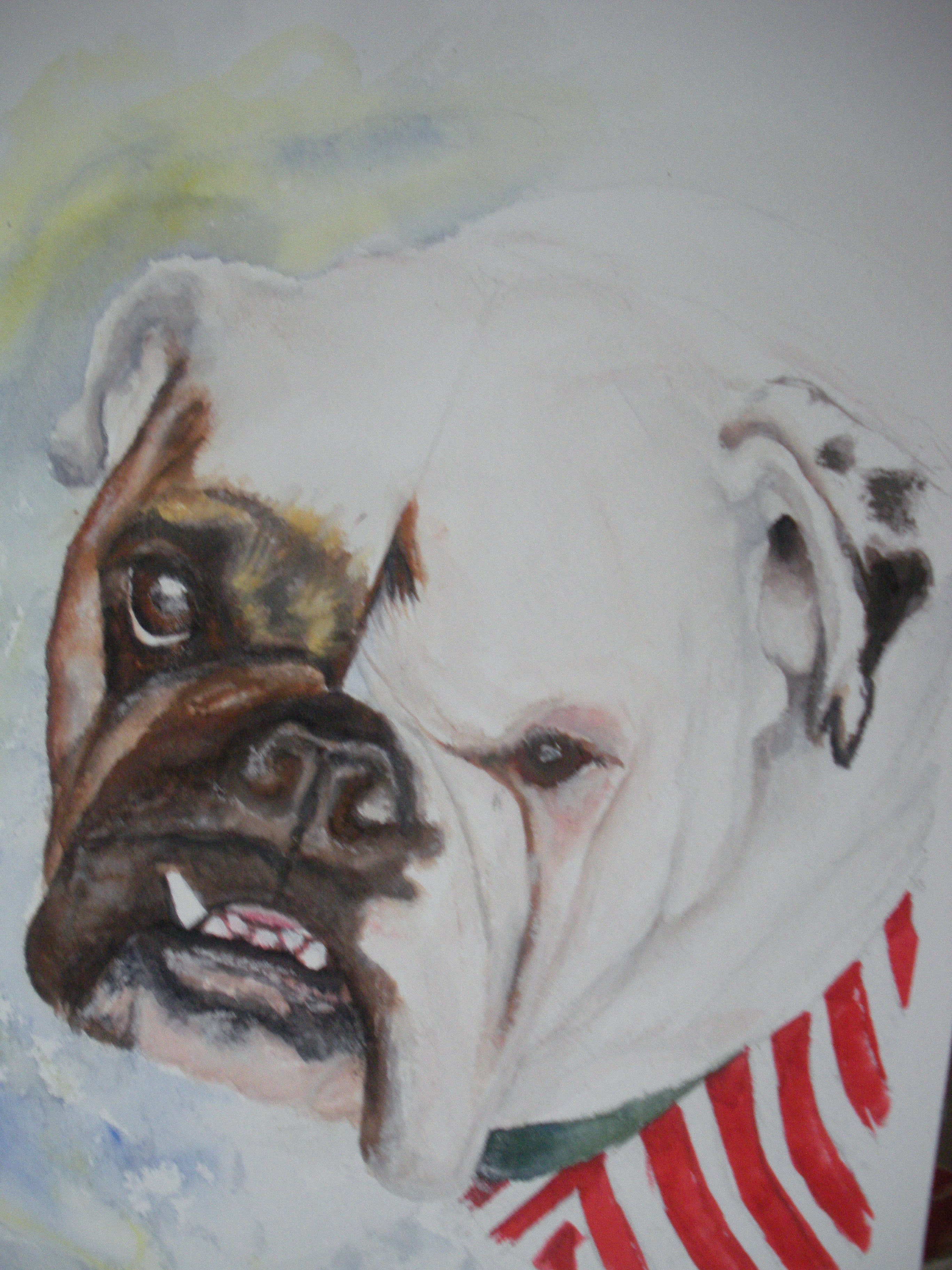 Pet Portrait Commission size