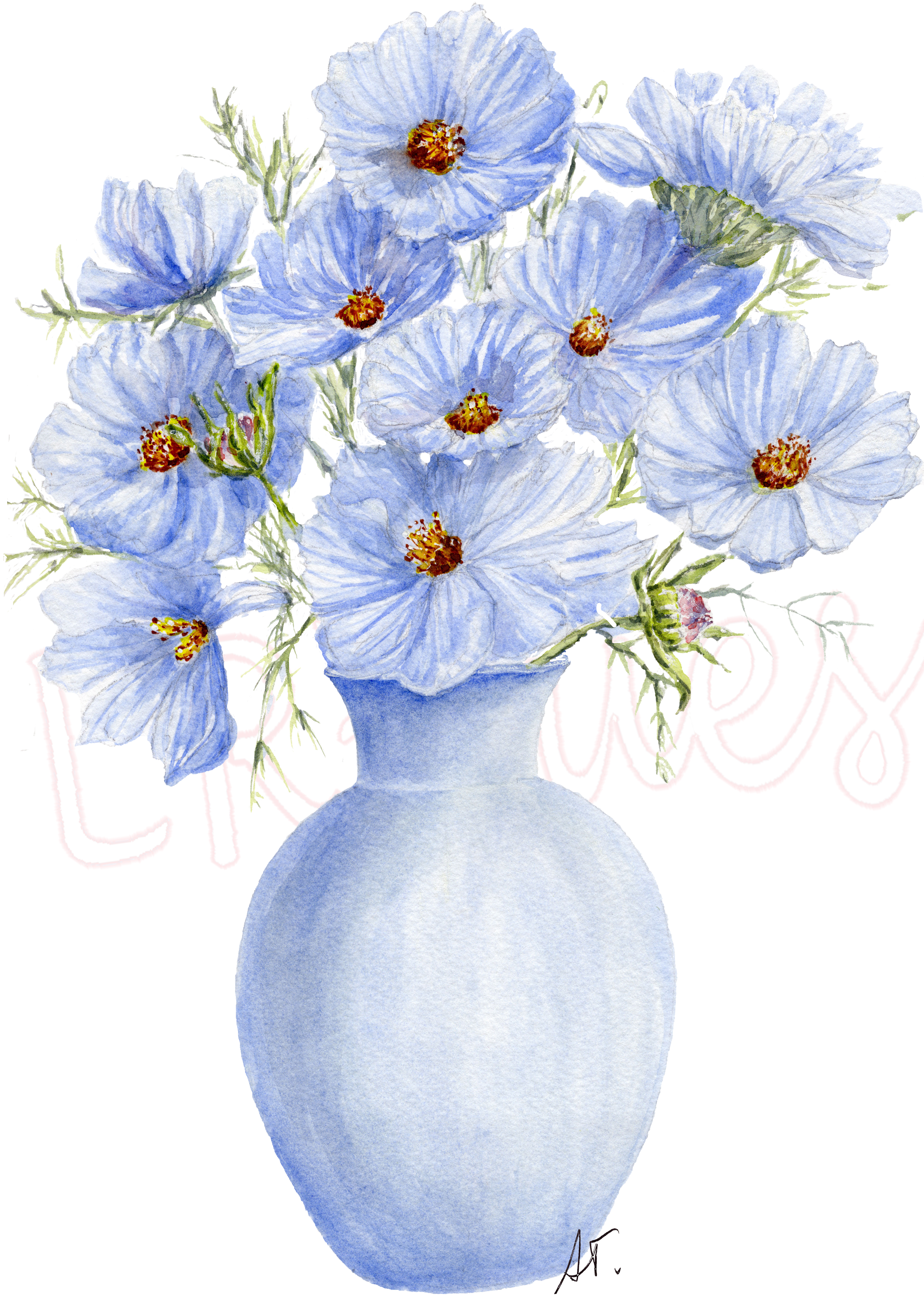 Watercolor Blue Cosmos greeting card