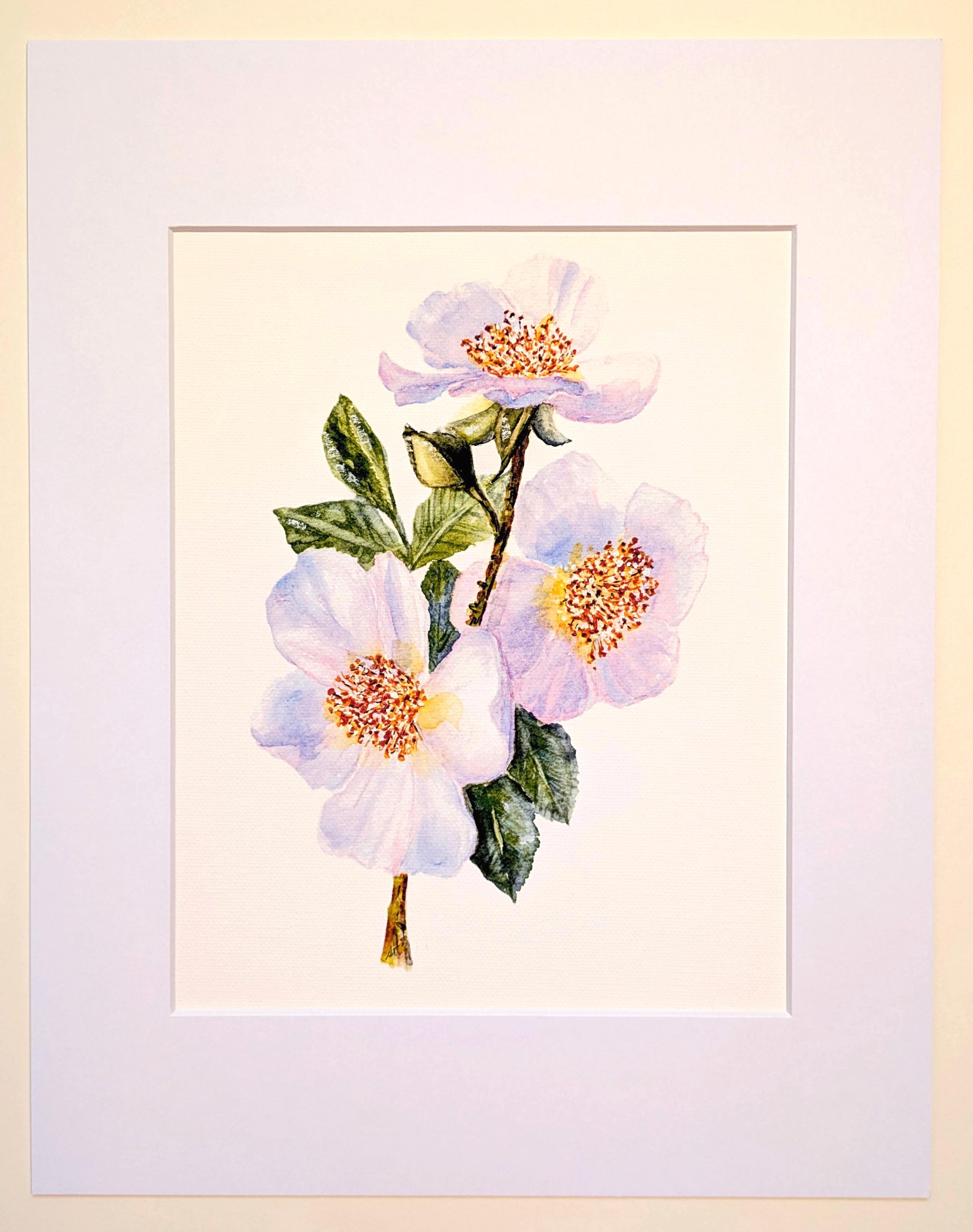 Botanical Wild Prairie roses Art Print