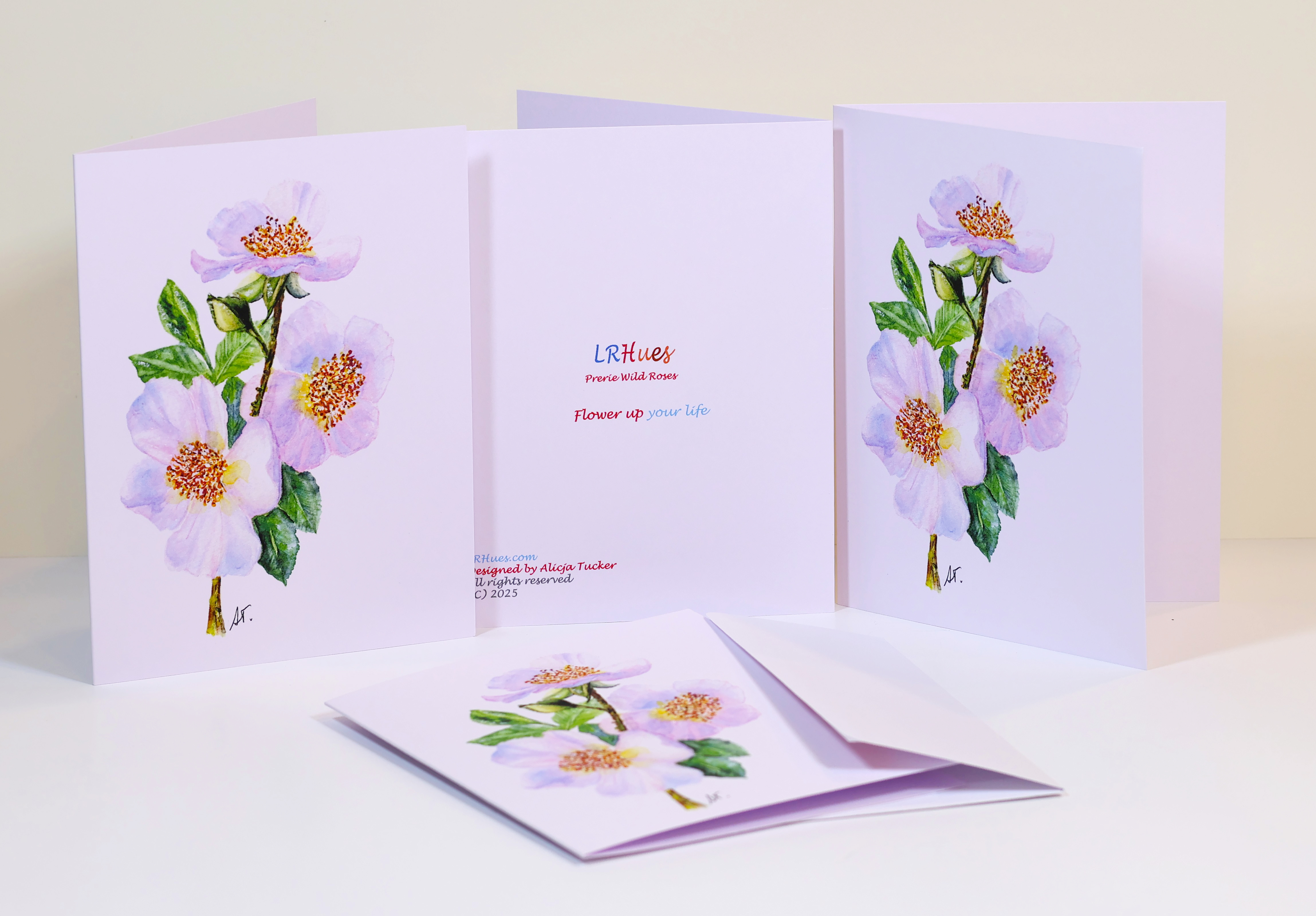 Watercolor Prairie Wild Rose 