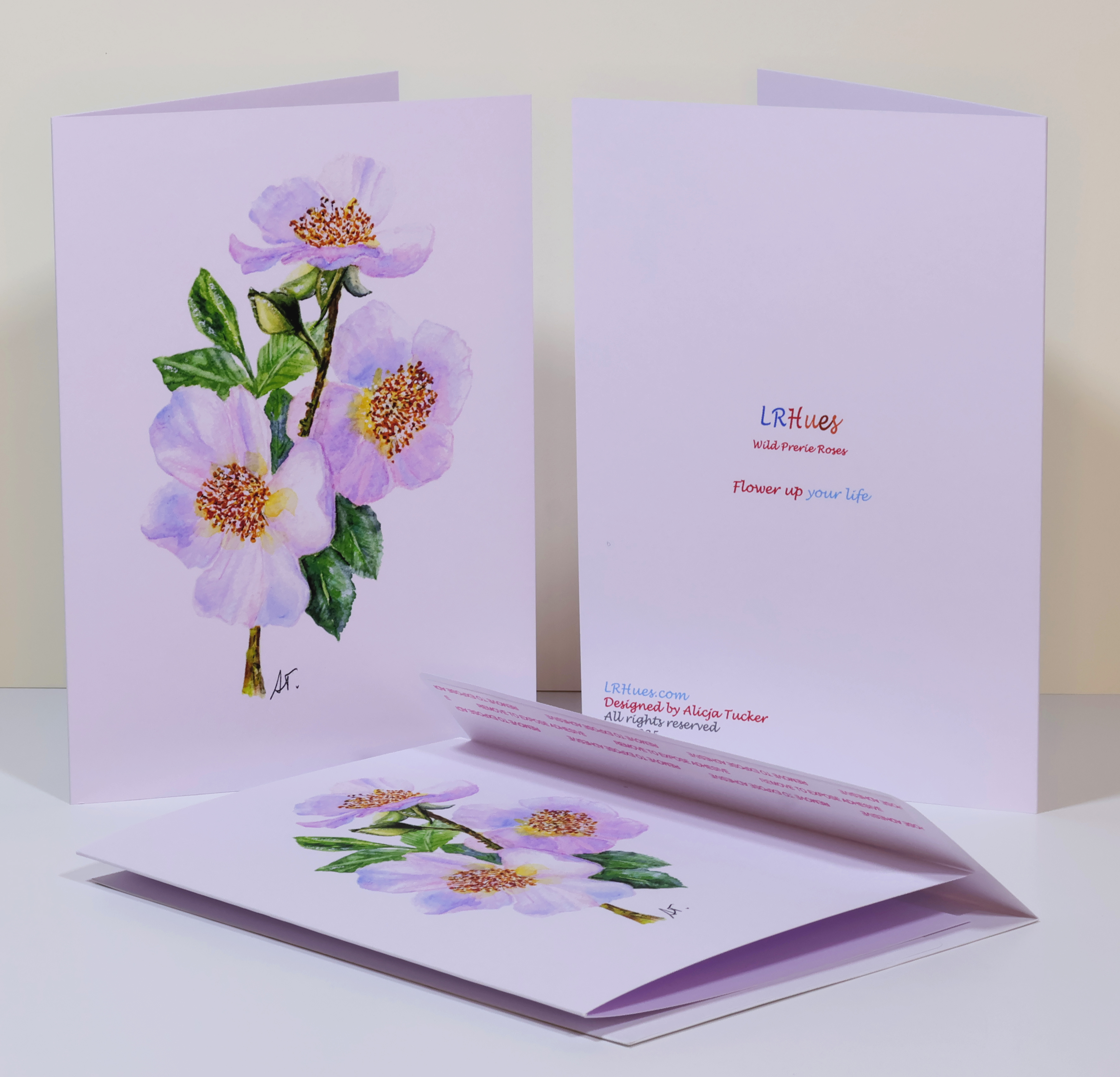 Watercolor Prairie Wild Rose 