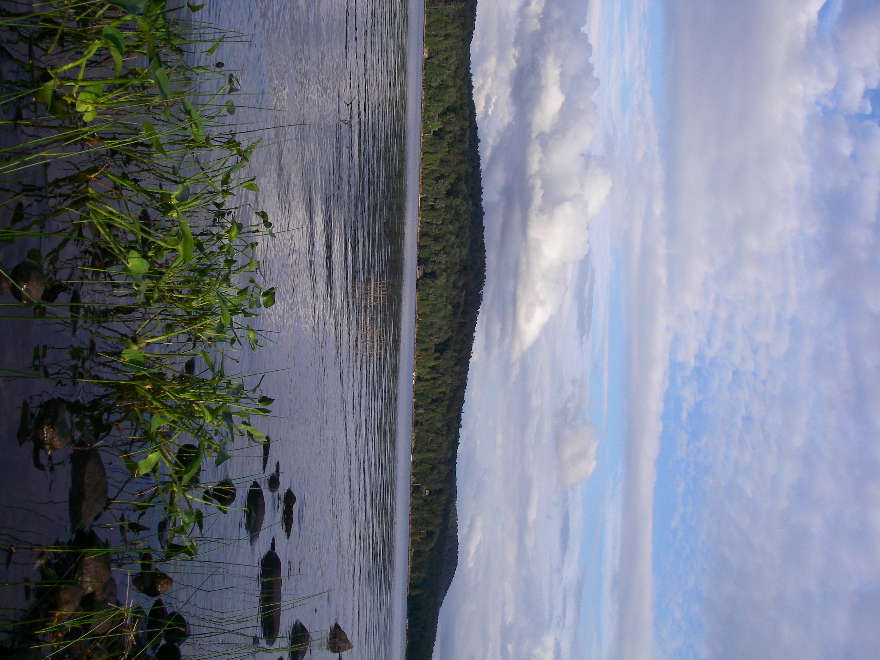 Serene Lakeside Photograph