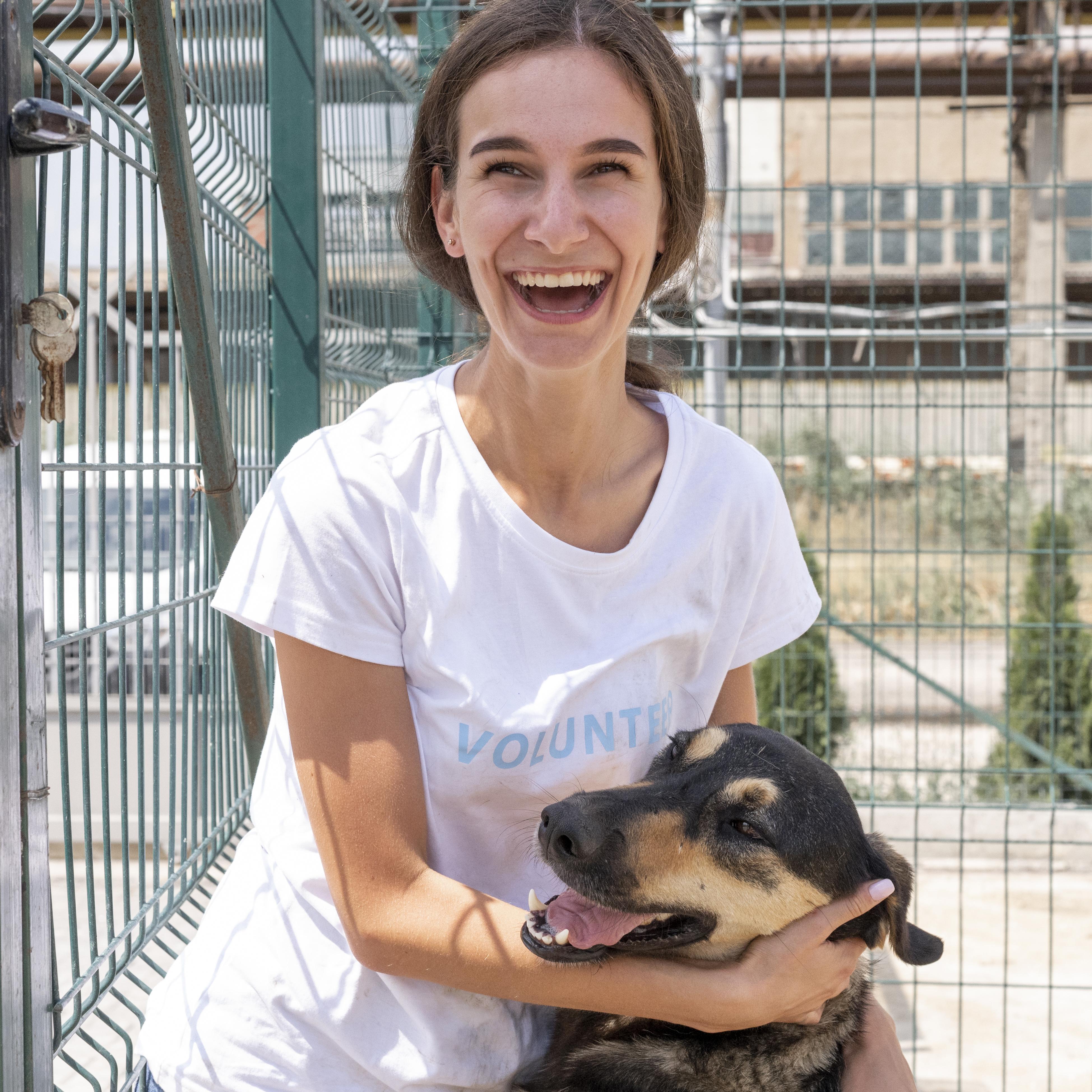 Provide Shelter – Give a Street Animal a Safe Haven