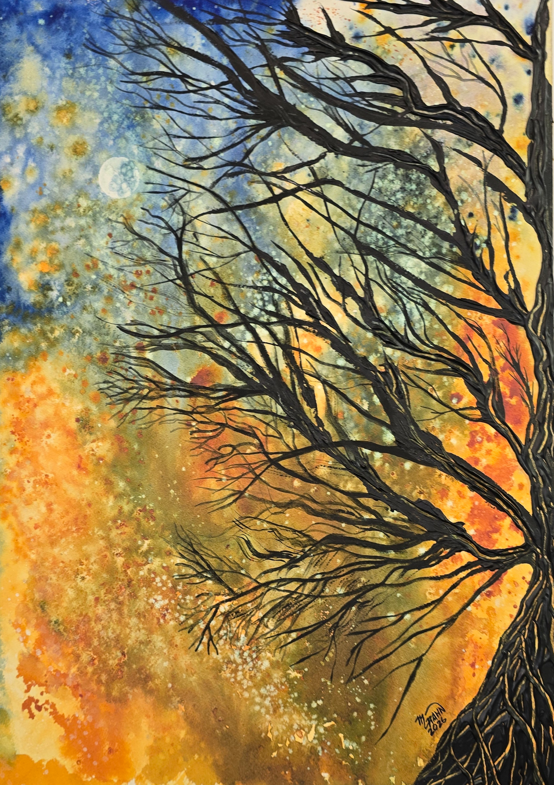 Echoes of a Starbound Canopy