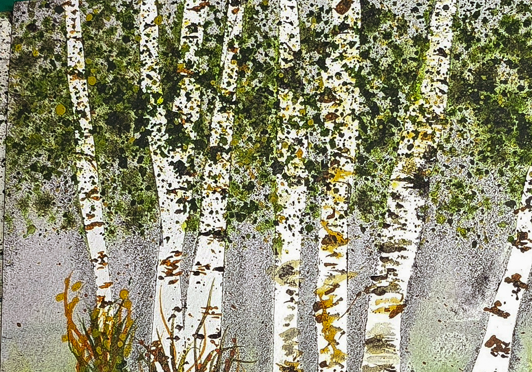 The Birch