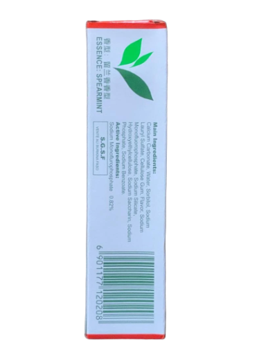 Dentifrice à la menthe verte GROS