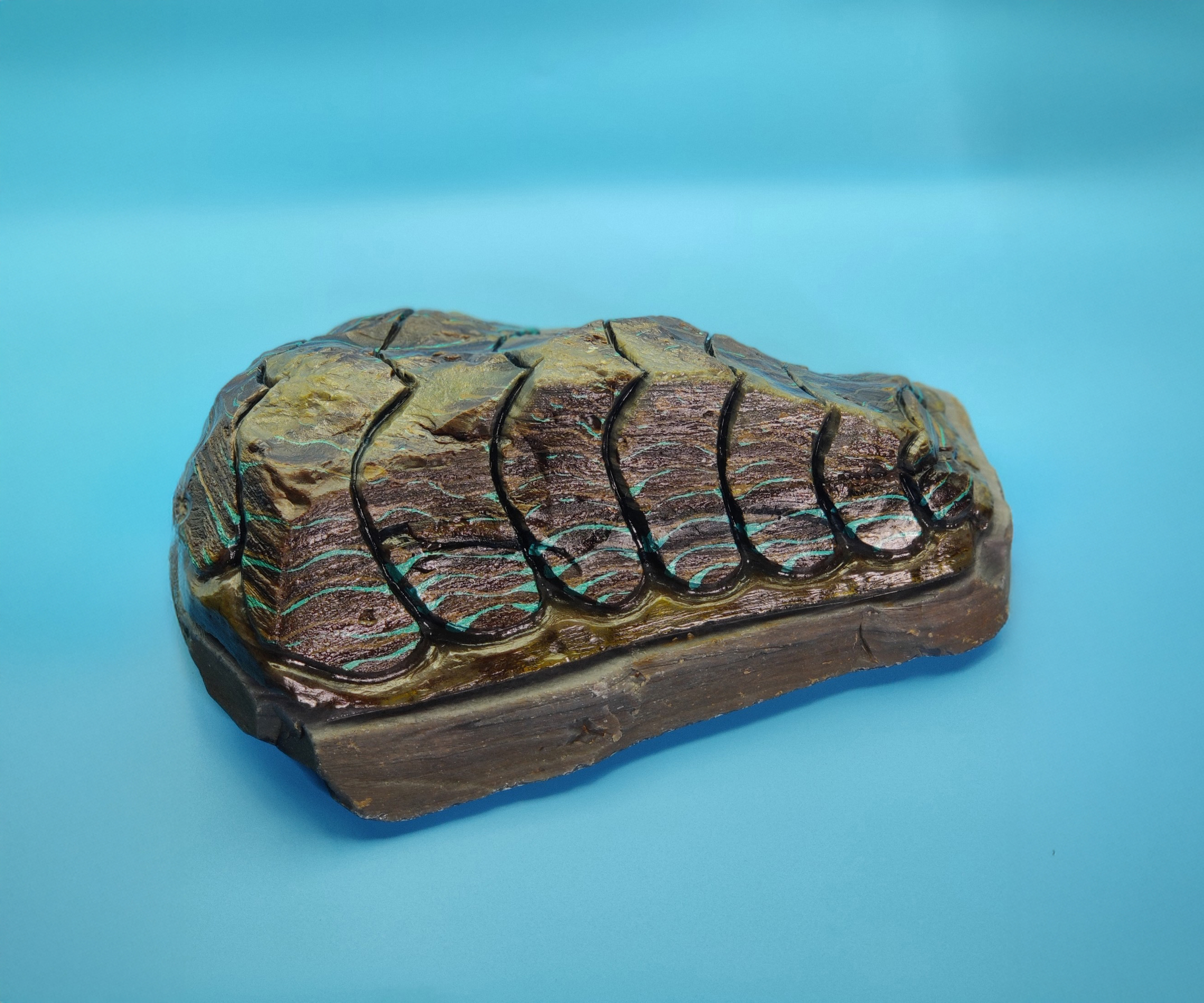 Obsidian Chiton