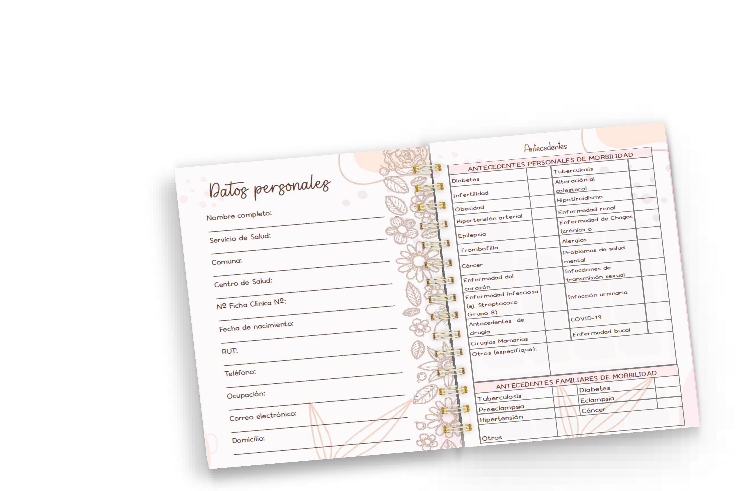 Planner Prenatal