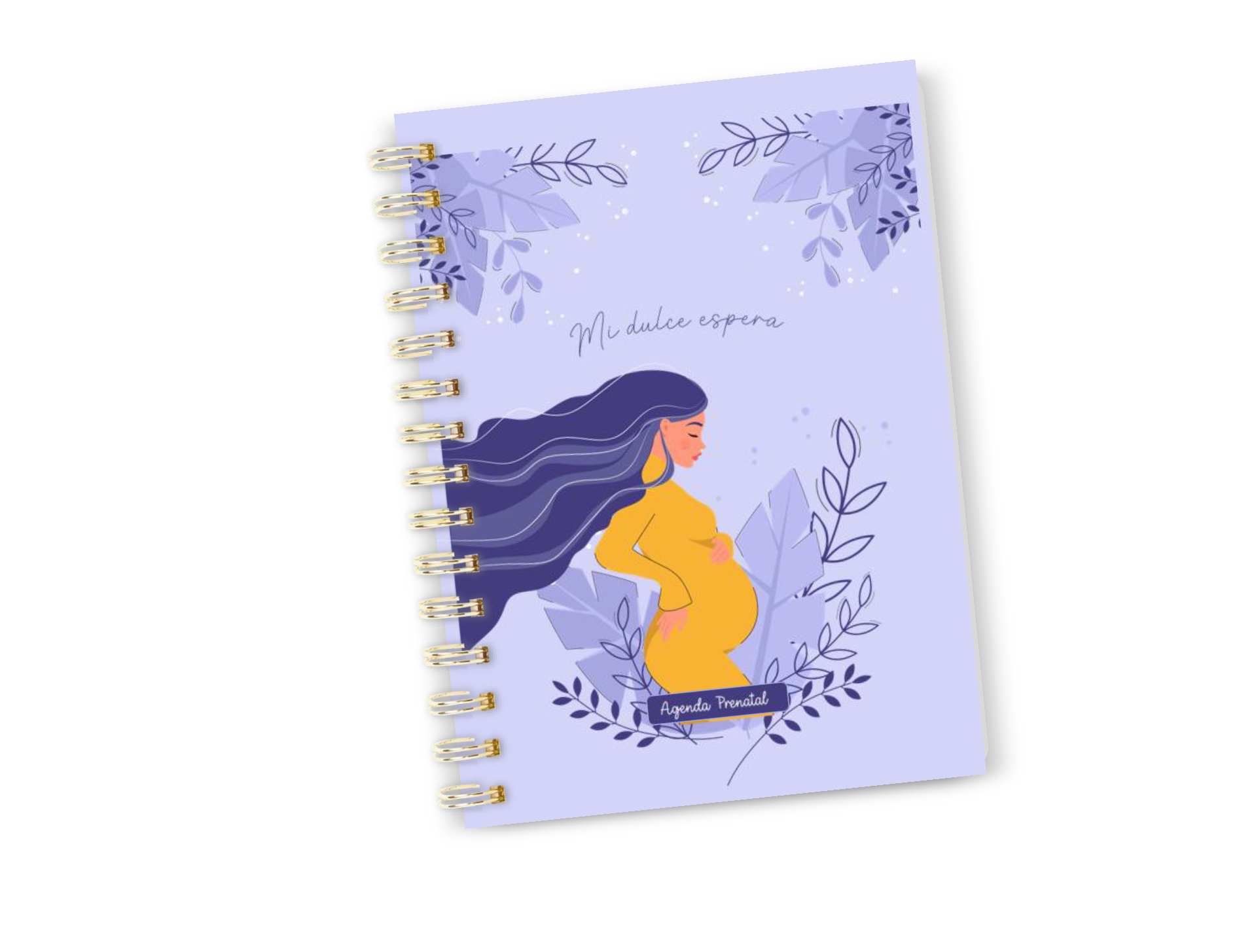 Planner Prenatal