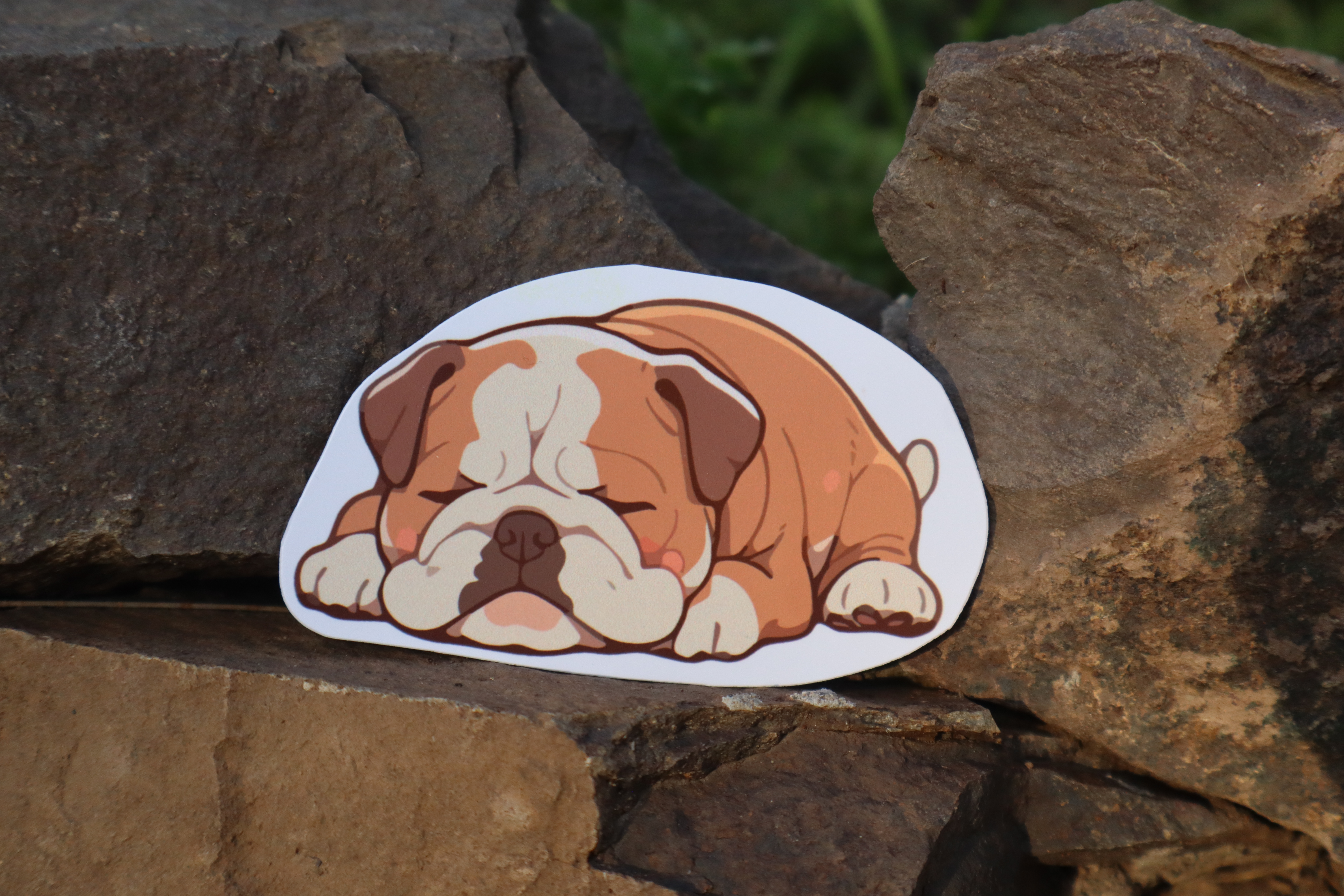 Stickers "Bulldog Ingles"