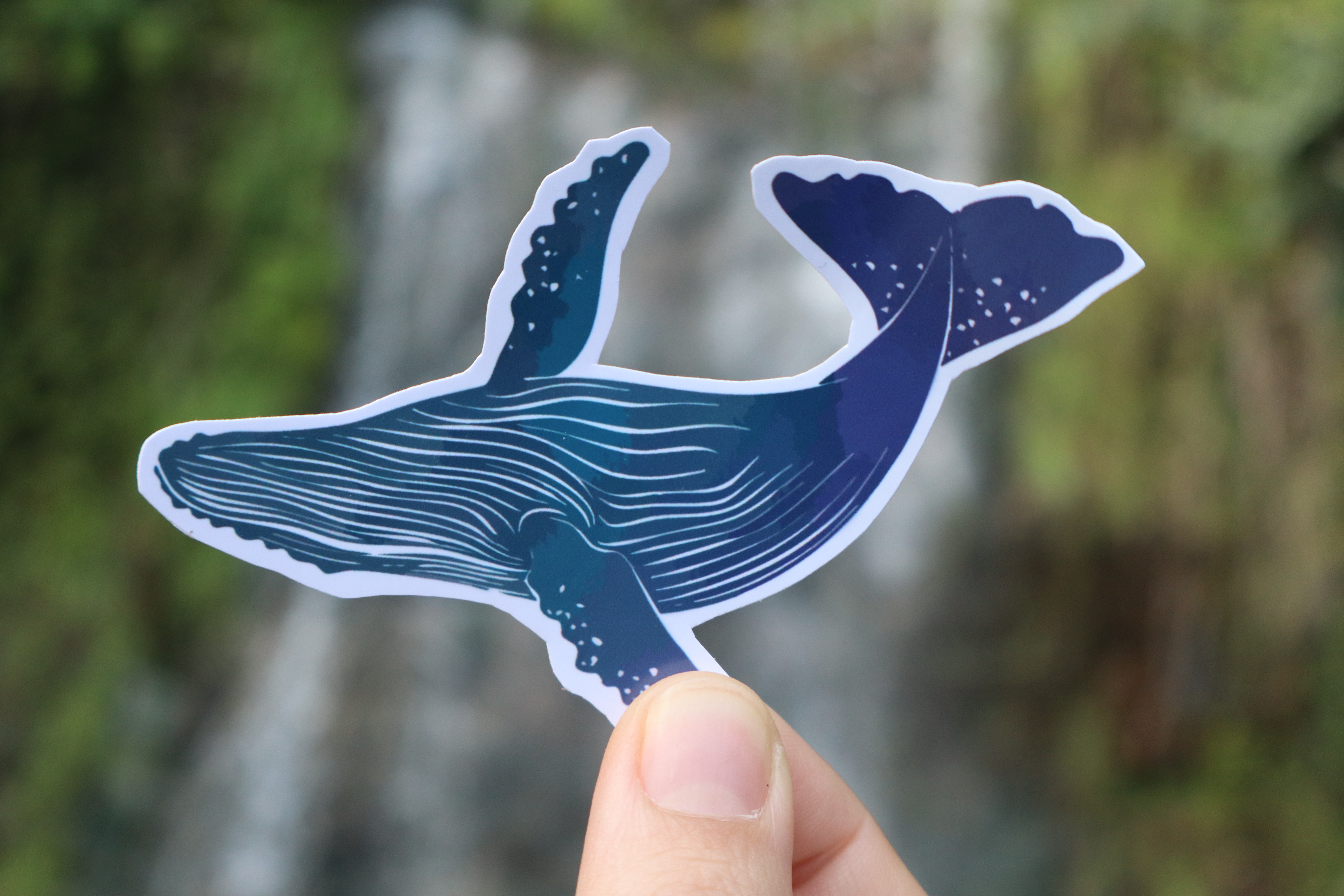 Sticker "Ballena Blue"