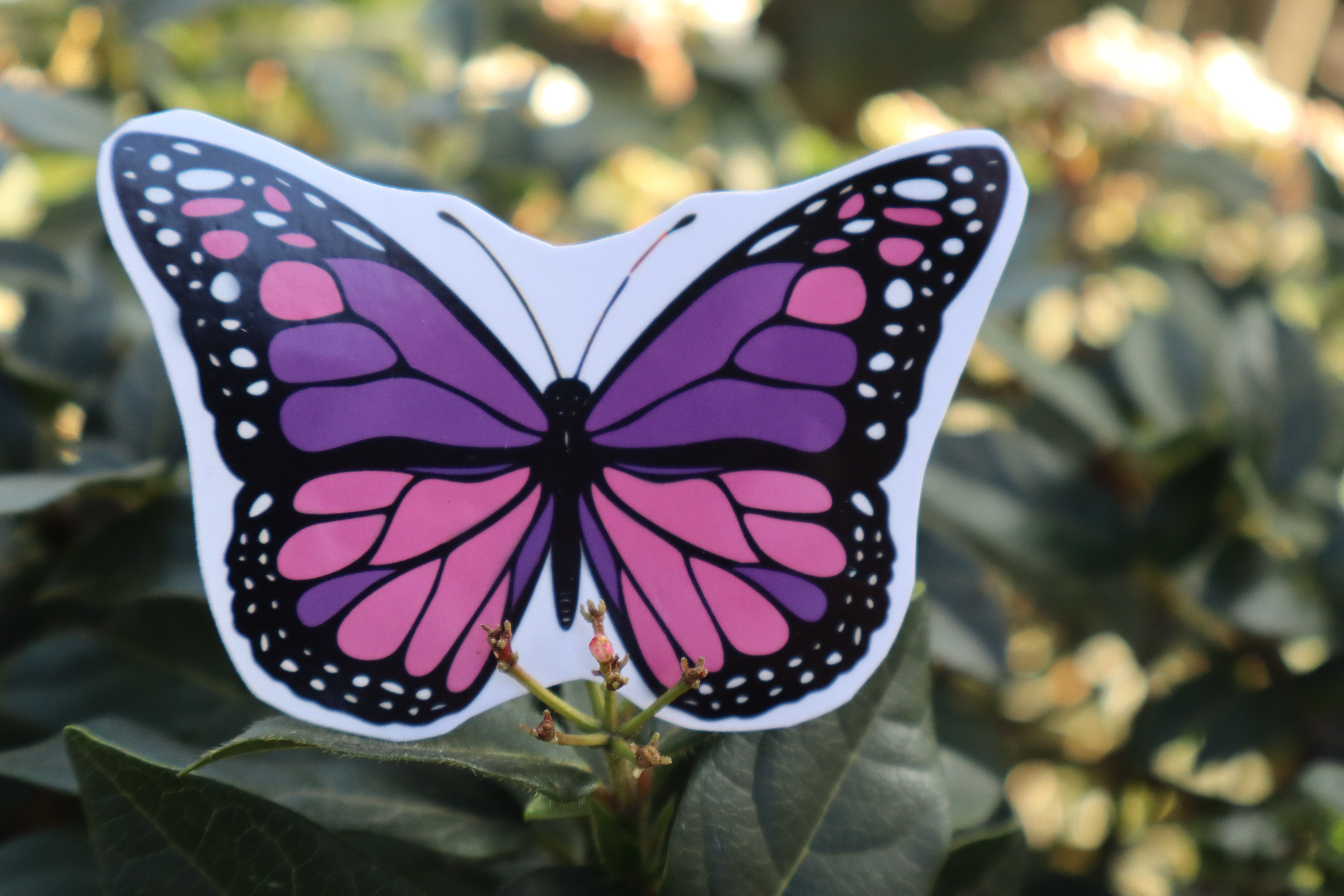 Sticker "Mariposa"