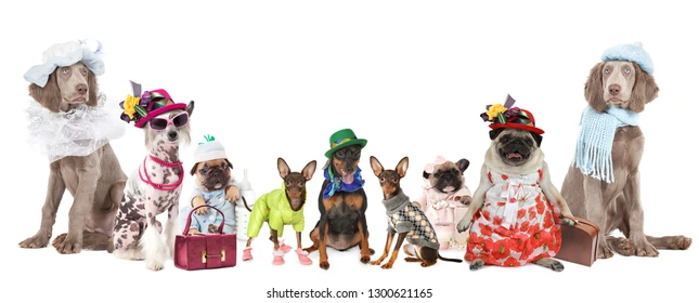 Seasonal wardrobe changes & accessorizing