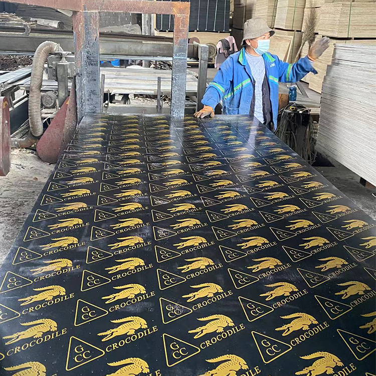 18mm Black BP Plywood Biz Standard pp Plastic Plywood Film Faced Plywood for Construction Building 