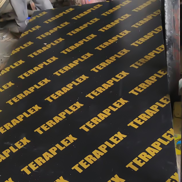 Filmed Faced Birch Plywood 18mm Sheet High Quality Film Faced Plywood for Sale