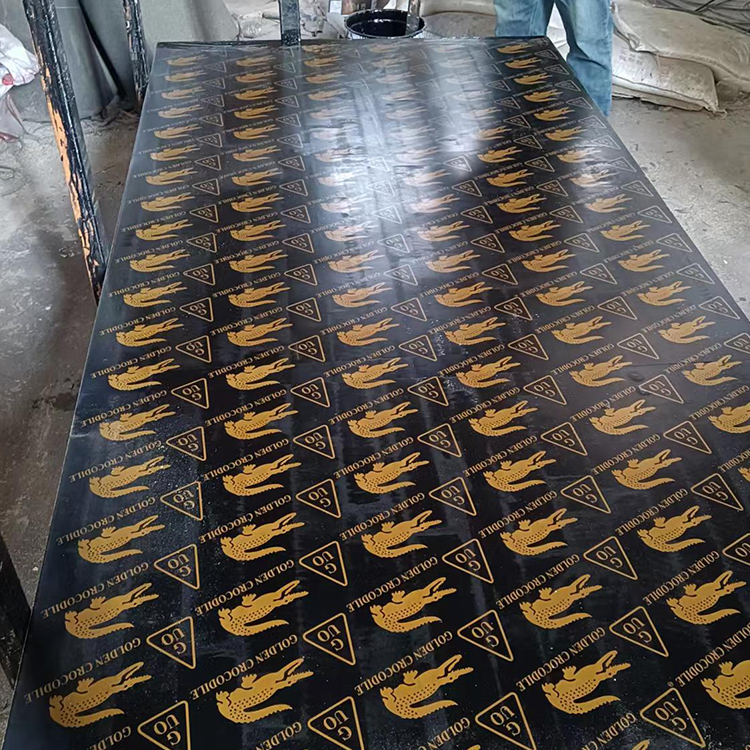 1220x2440mm 18mm Hardwood Concrete Film Faced Plywood for Construction