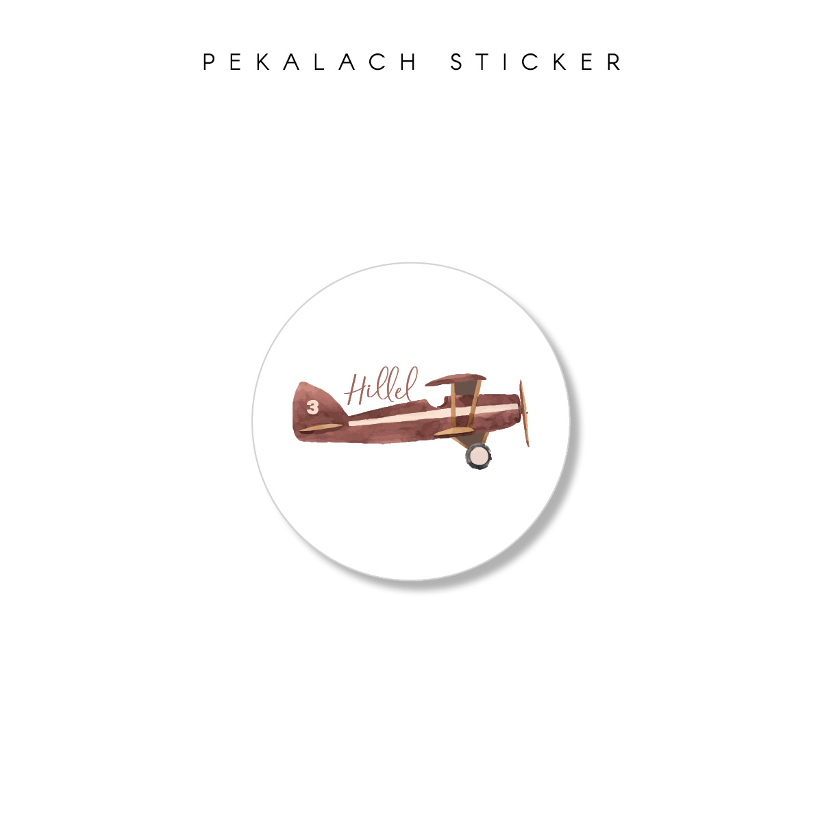 Vintage Airplane Upsherin Theme