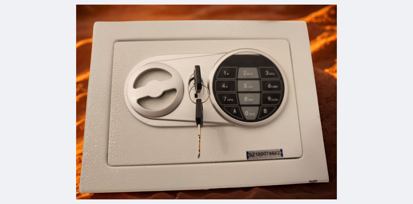 Electronic Security Safe