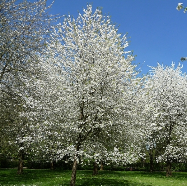 Séance de renfort (visio)