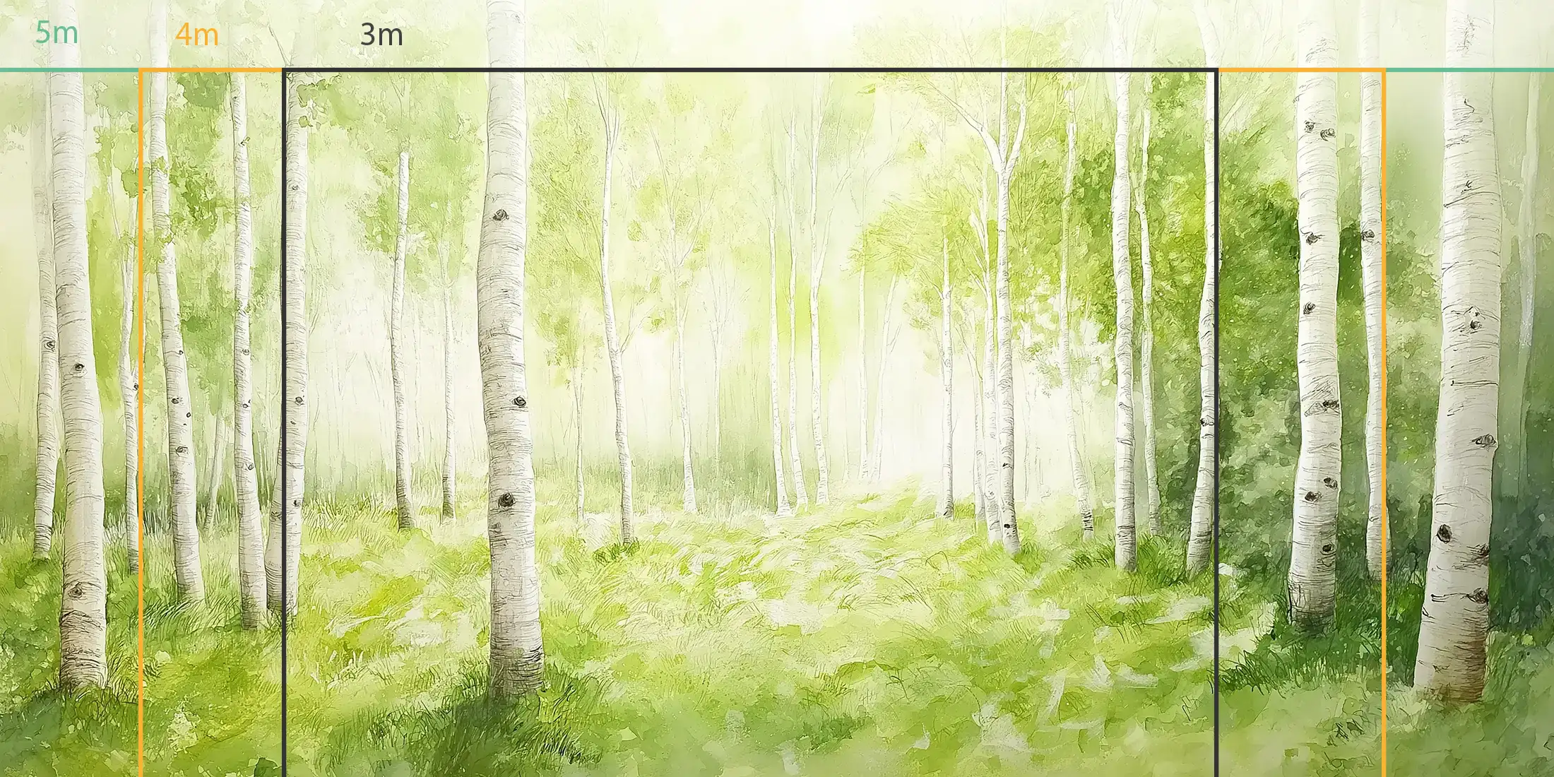 Forêt de bouleaux lumineuse