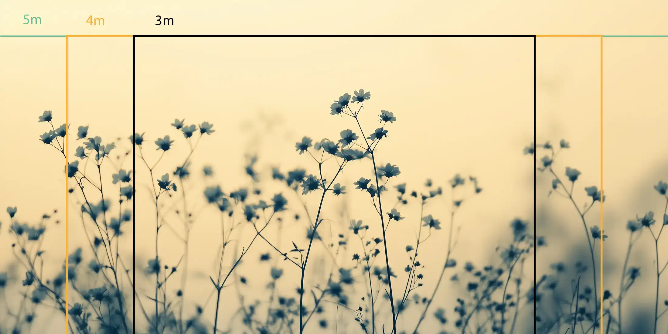 Silhouettes florales