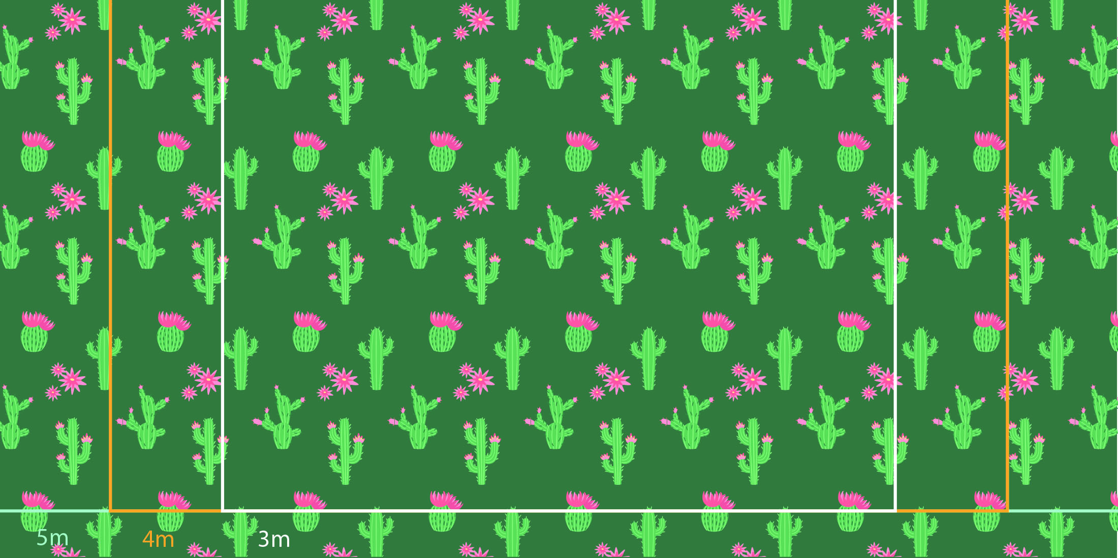 Cactus en folie