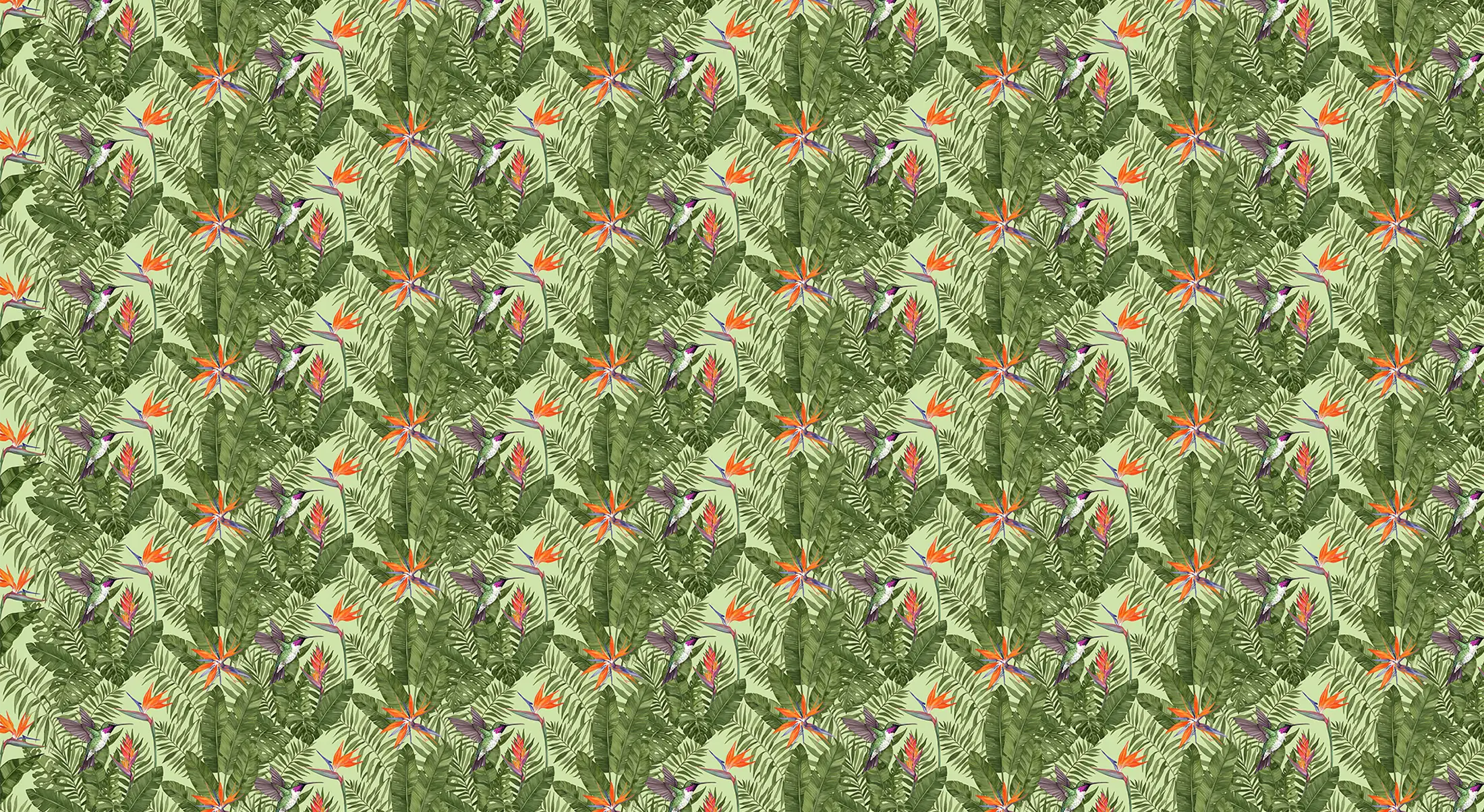 Colibri Joli