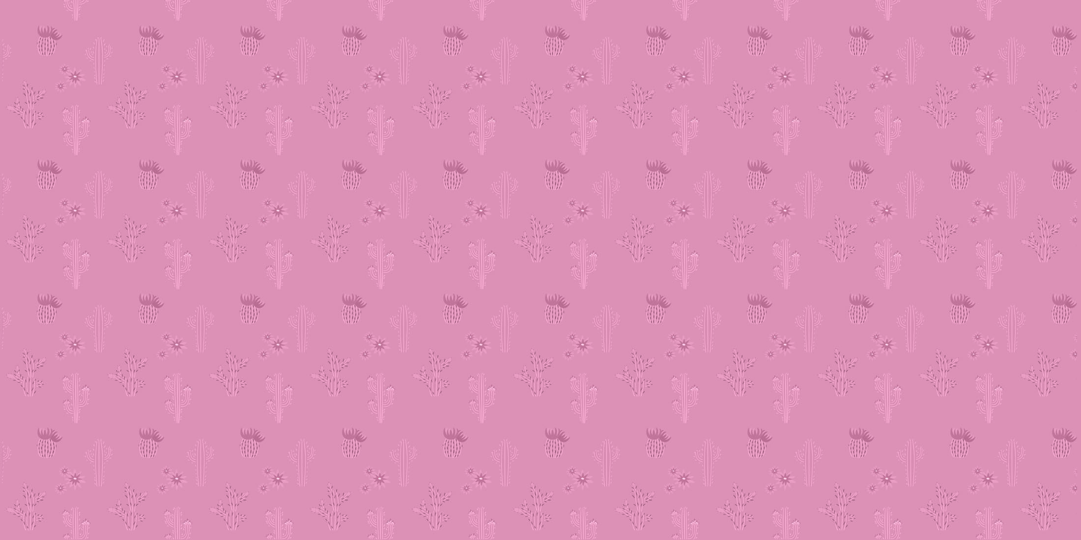 Cactus et douceur