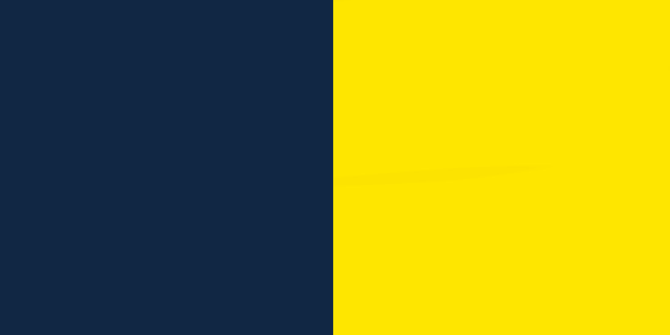 Bicolore Bleu marine et Jaune