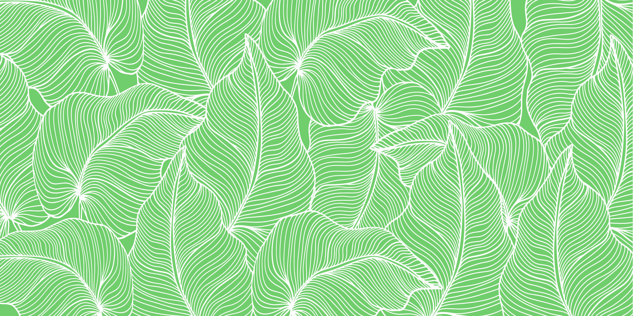 Feuilles tropicales surdimensionnées