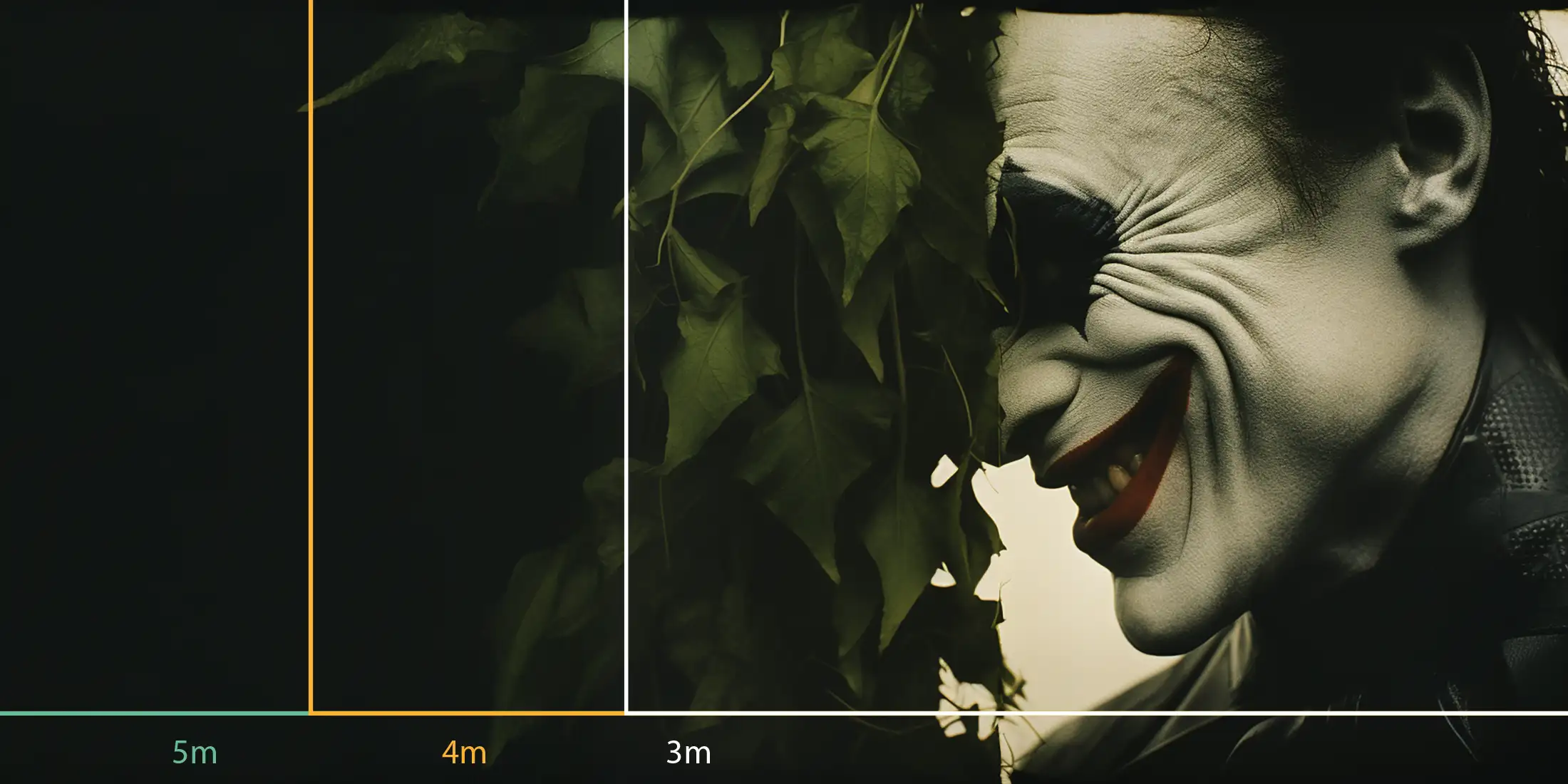 Le Joker