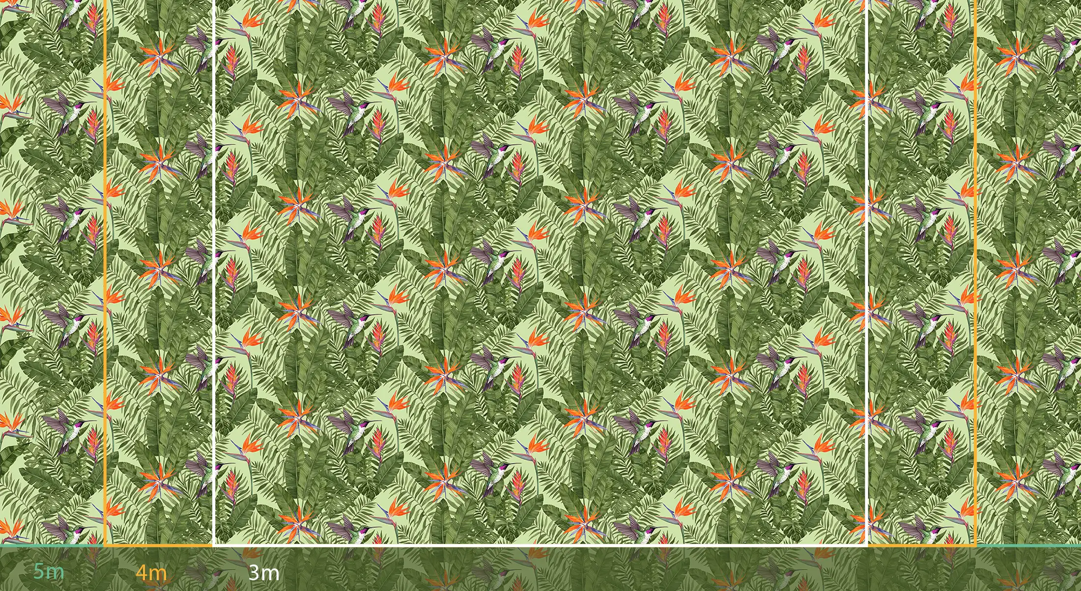 Colibri Joli