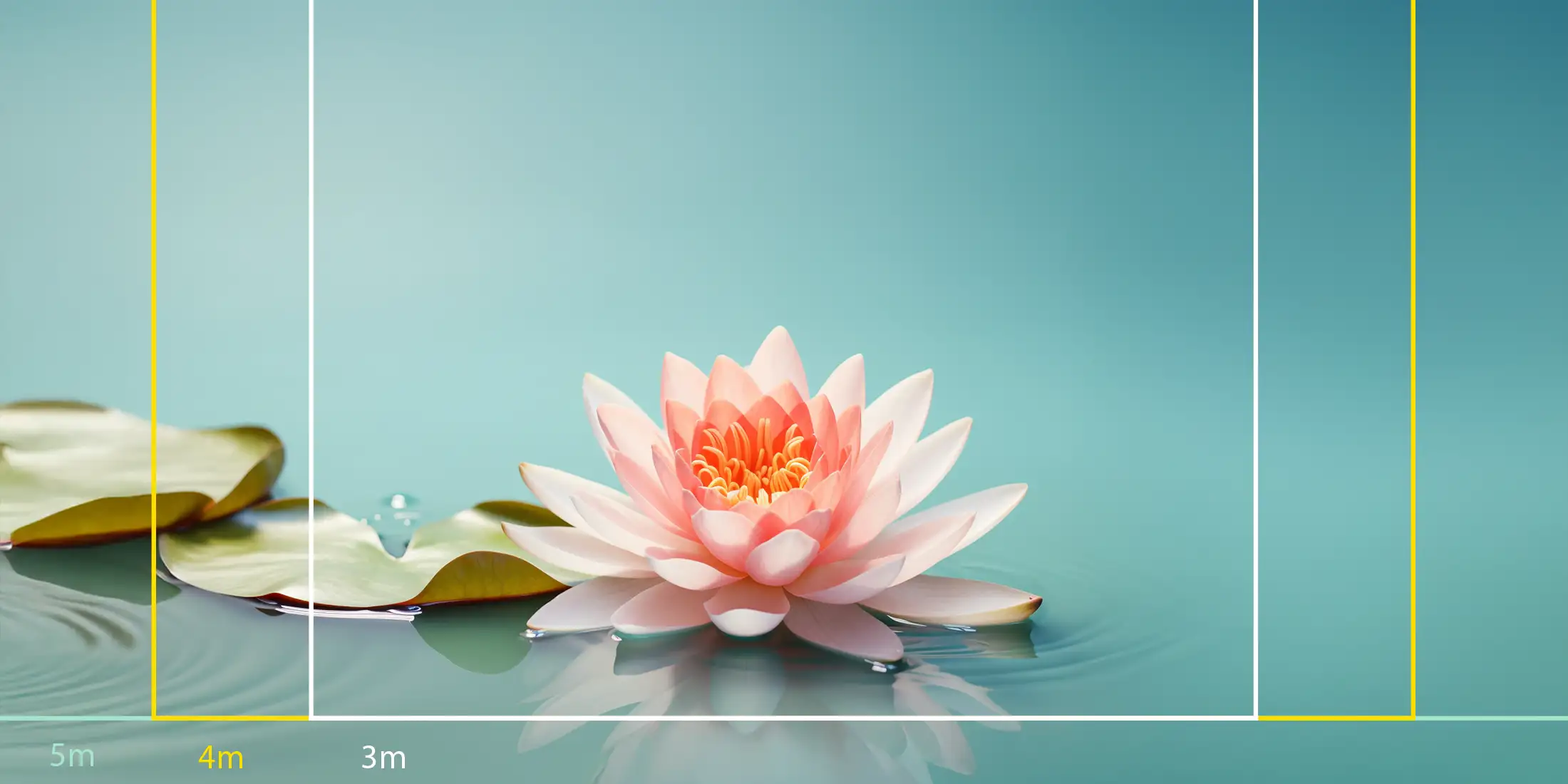 Fleur de Lotus rose