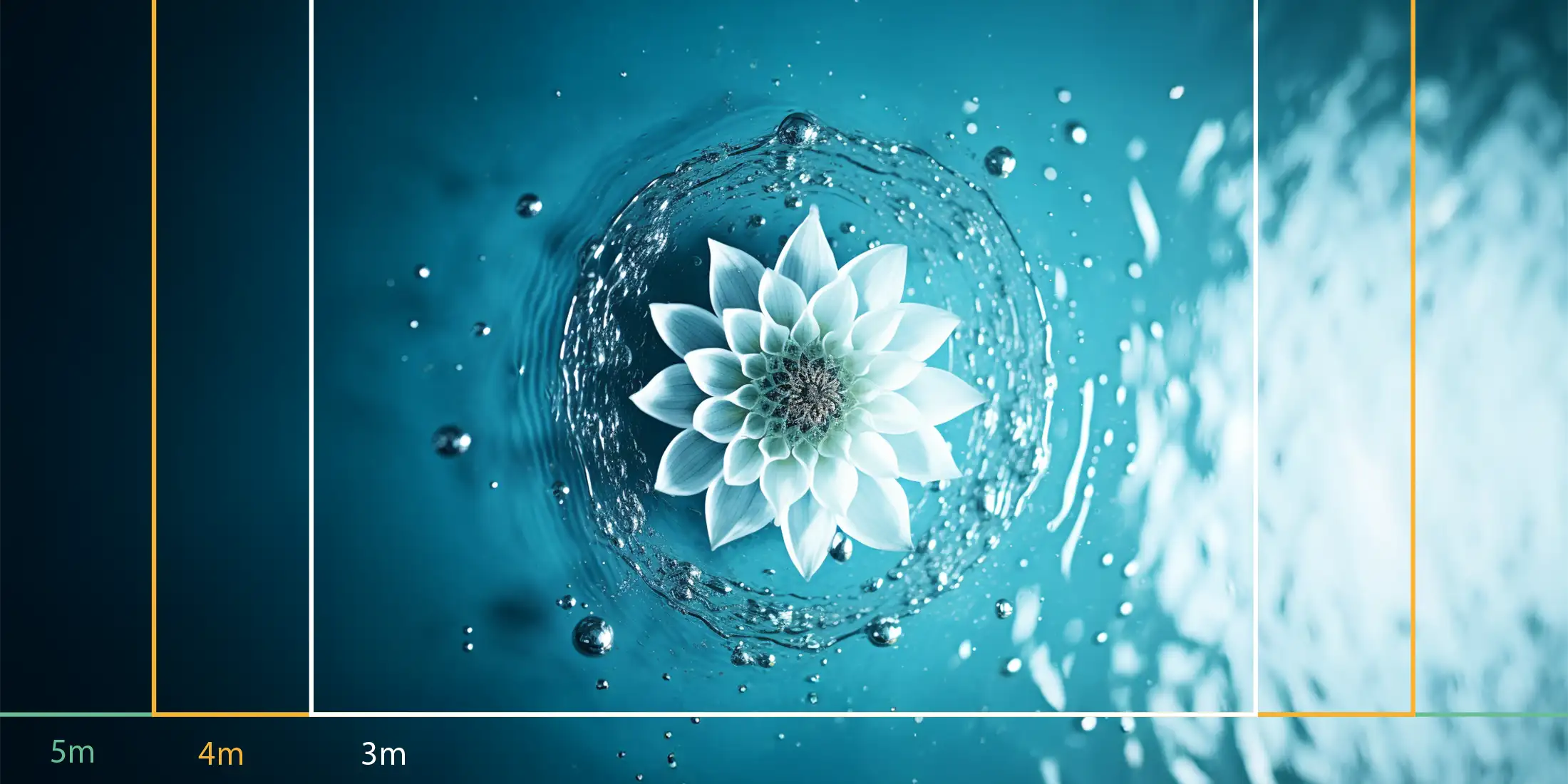 Lotus et ondes vibratoires