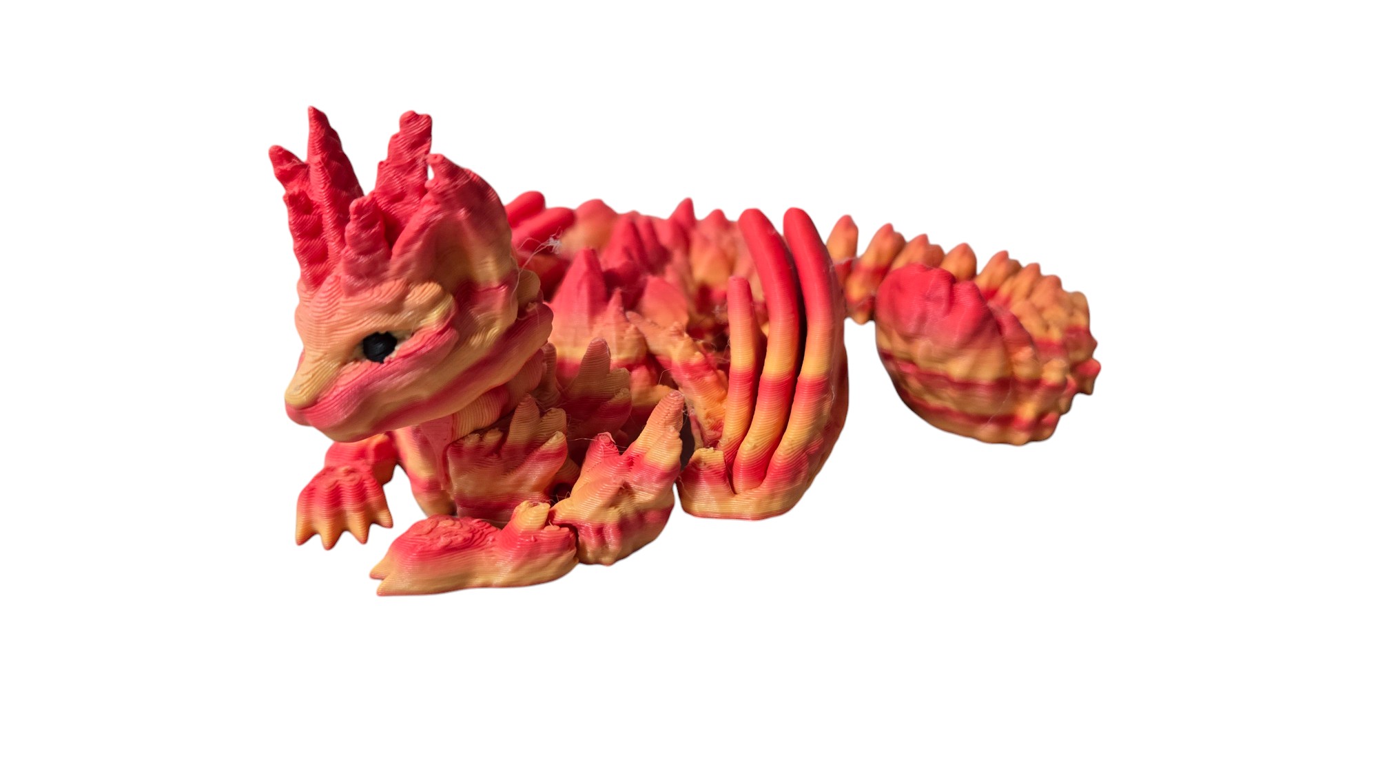 Cat Dragon