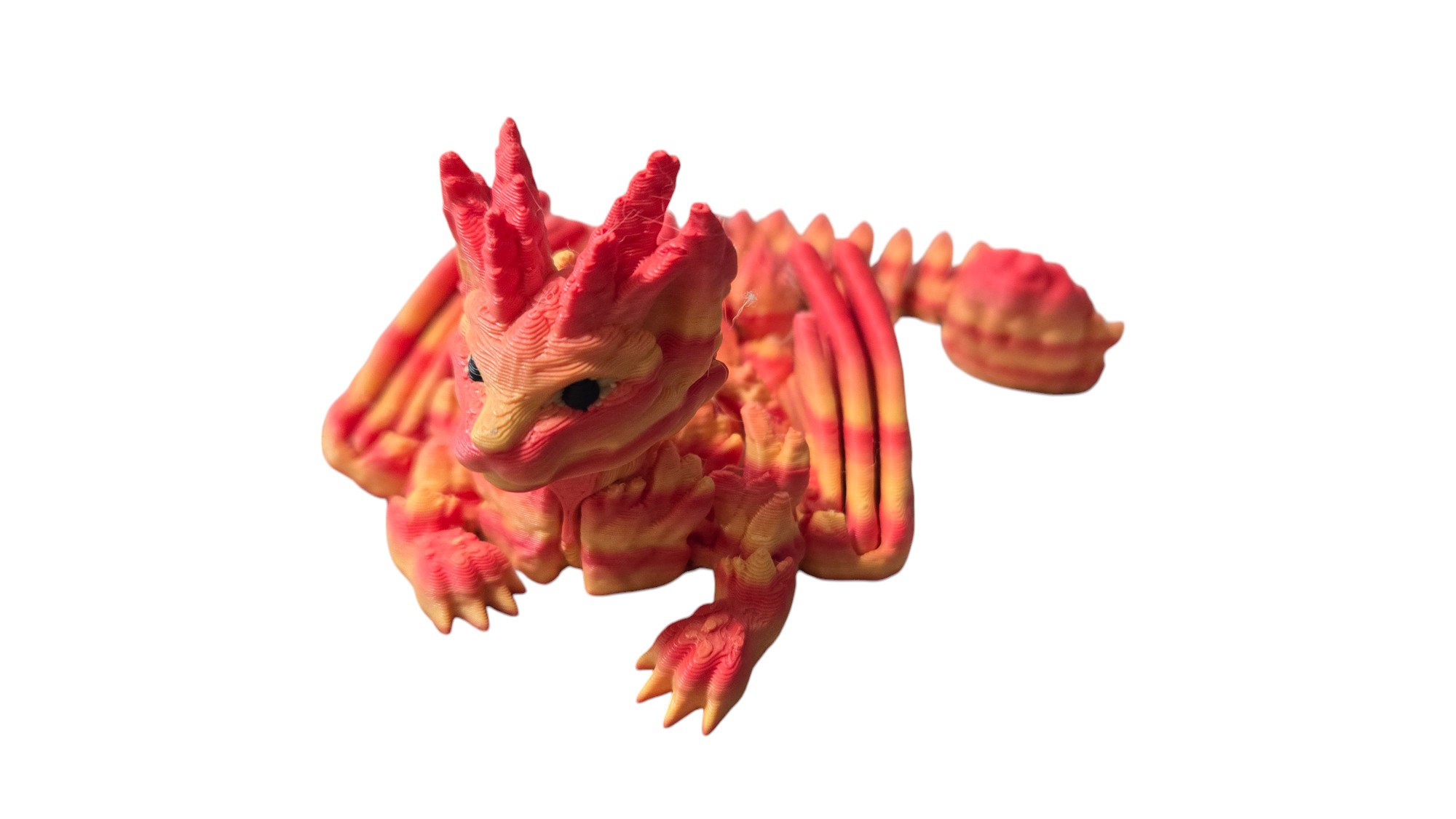 Cat Dragon