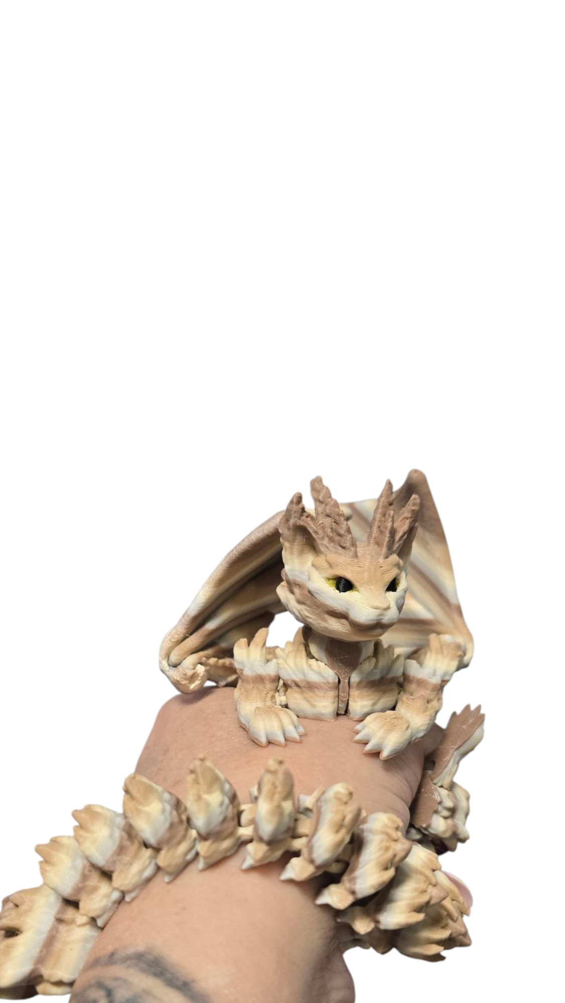 Cat Dragon