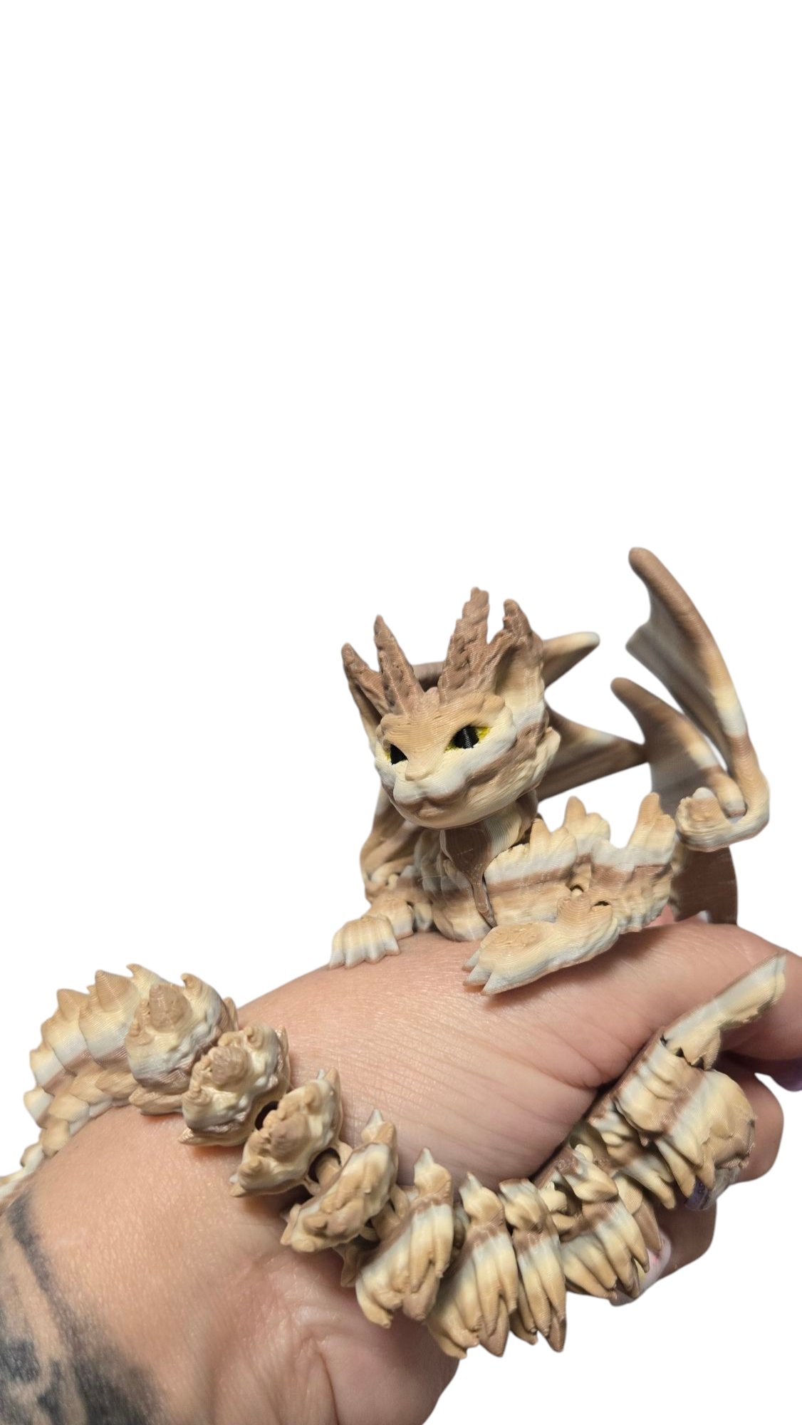 Cat Dragon