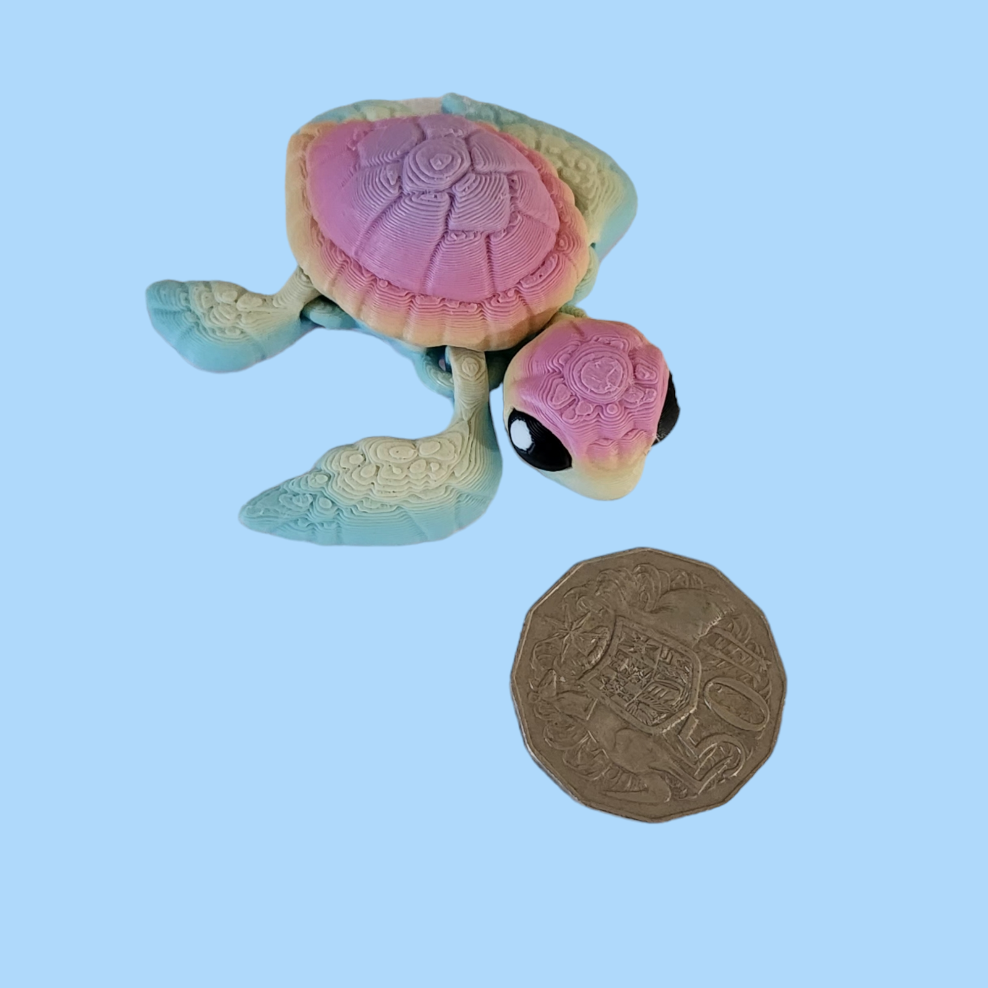 Sea Turtle