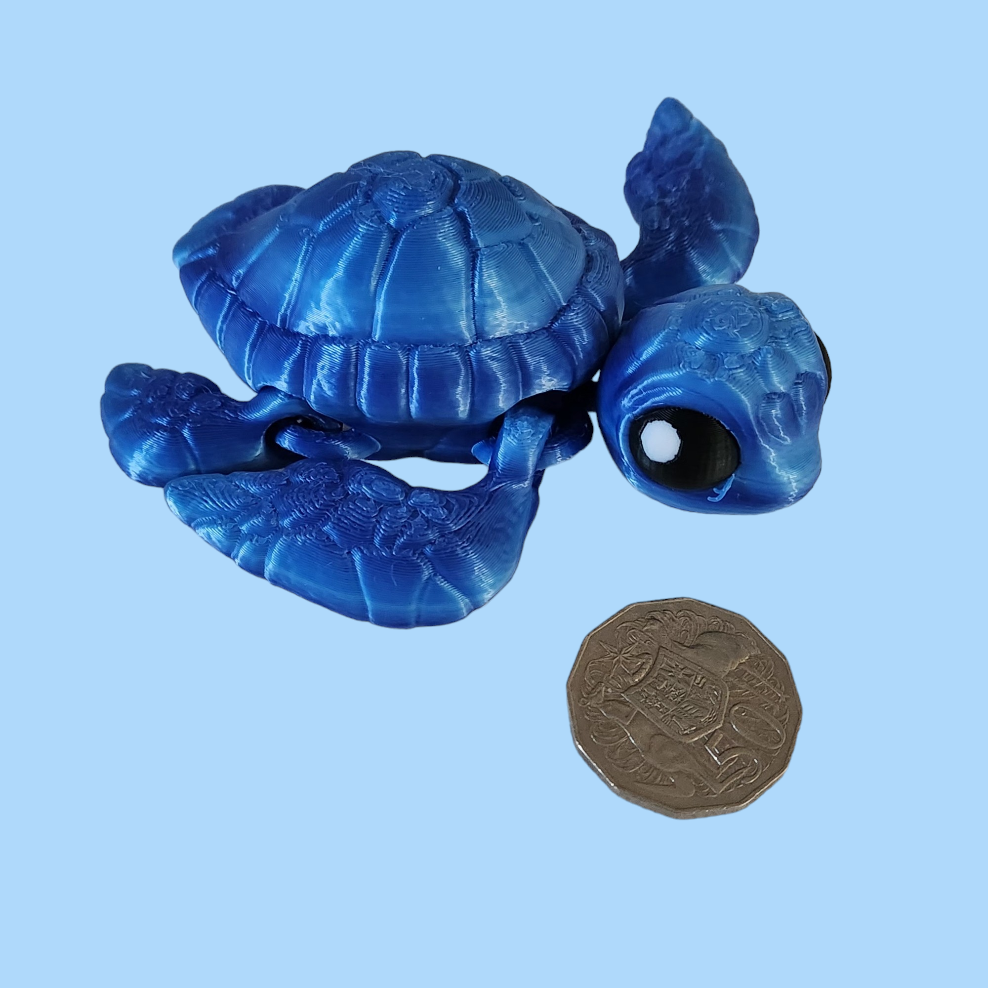 Sea Turtle