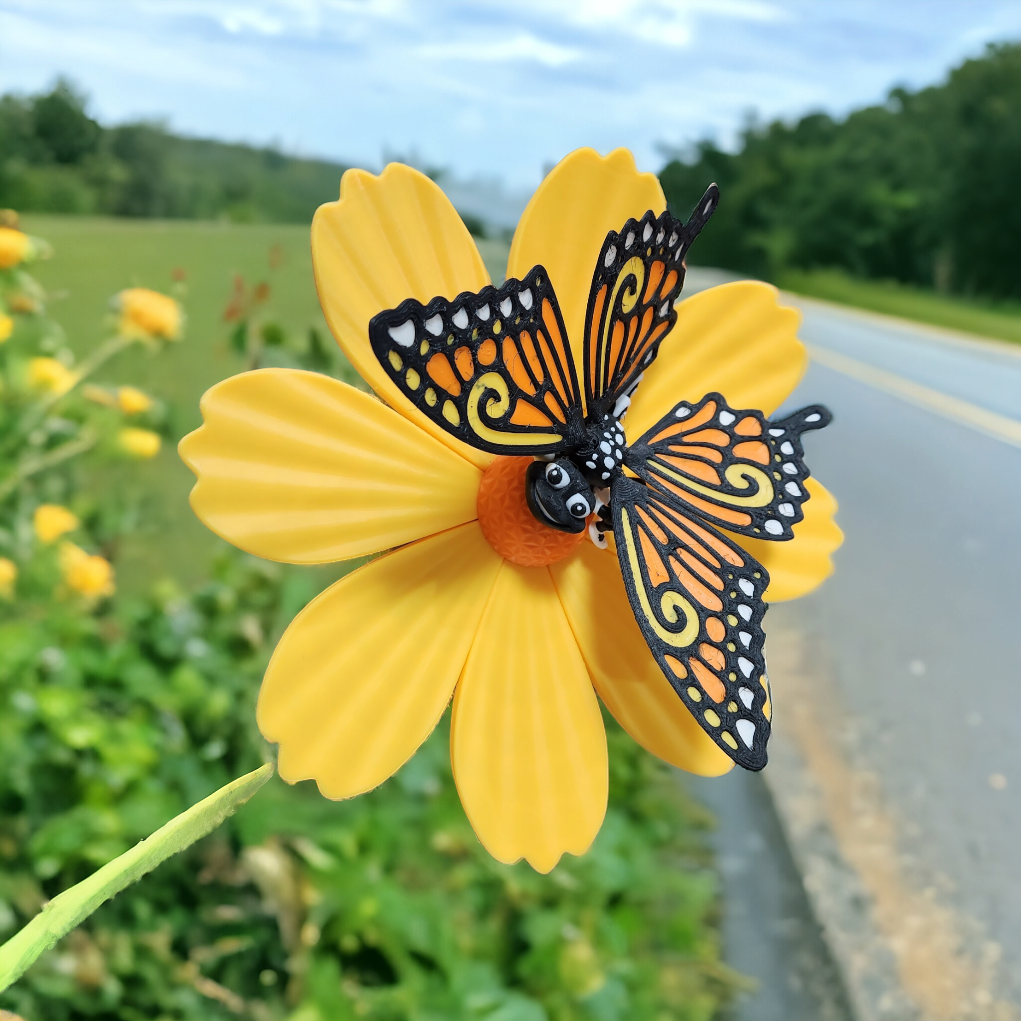 Butterfly
