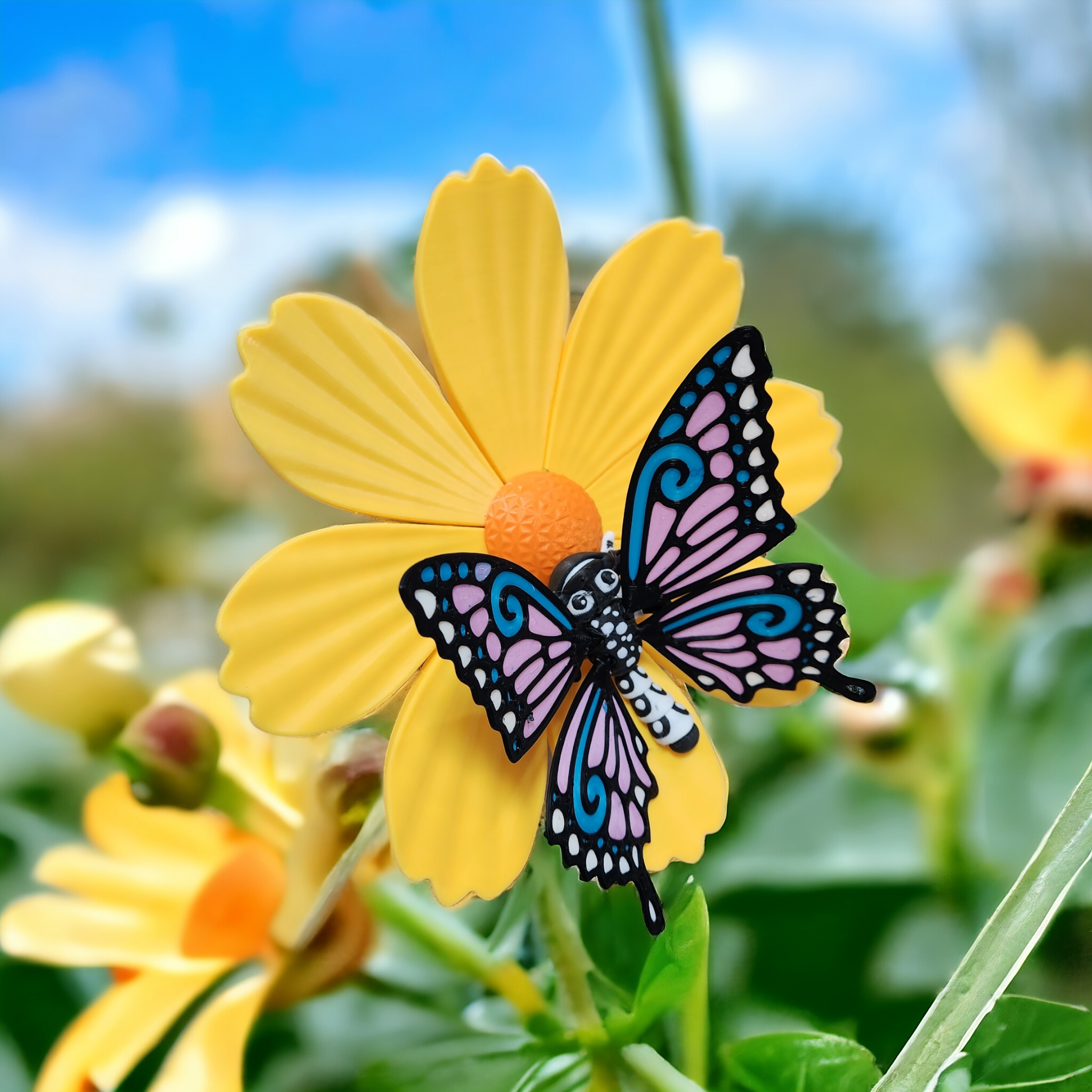 Butterfly